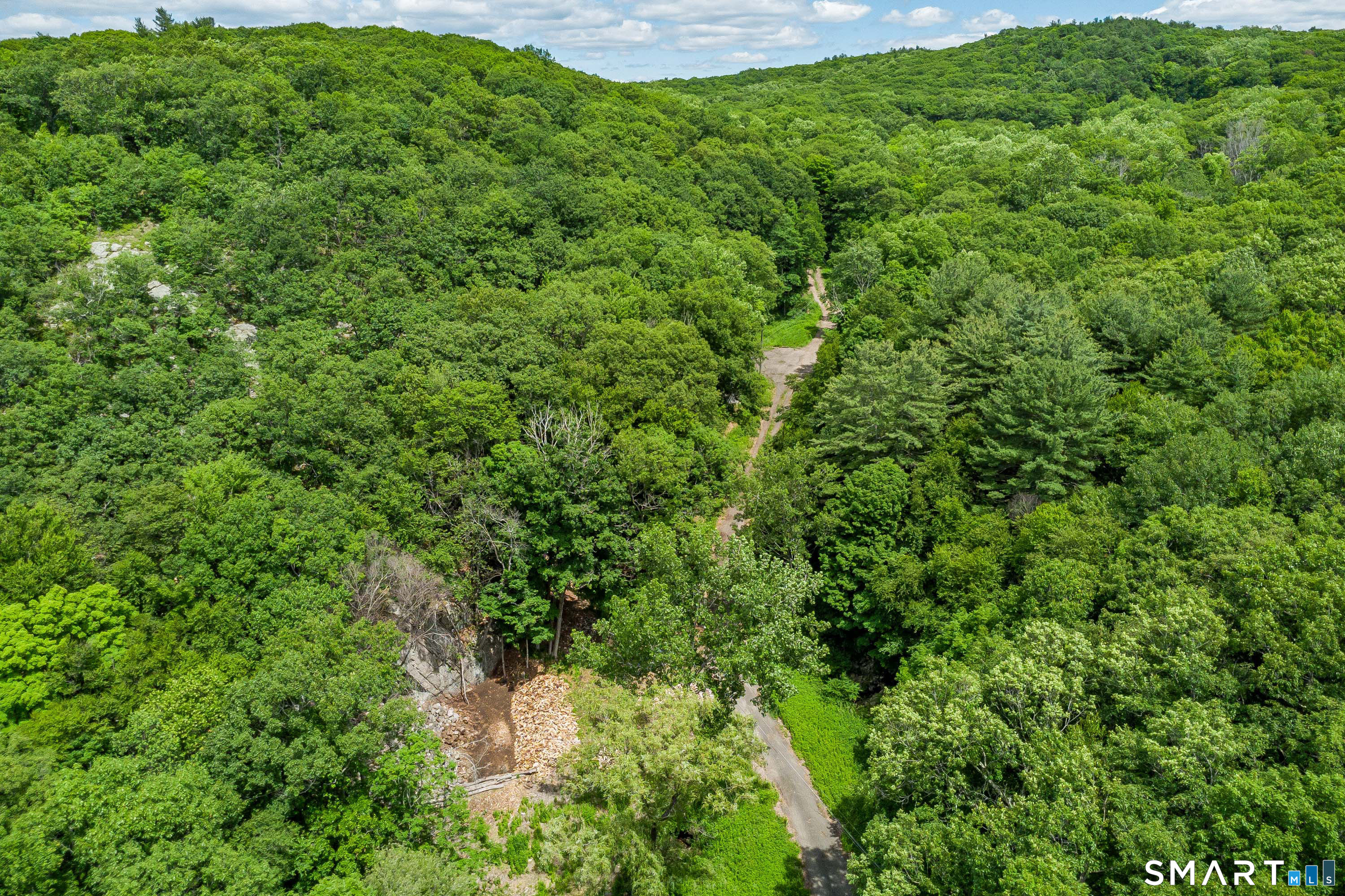 Ives Court Ridgefield, CT 06877 - Photo 2 of 22 a view of a lush green forest