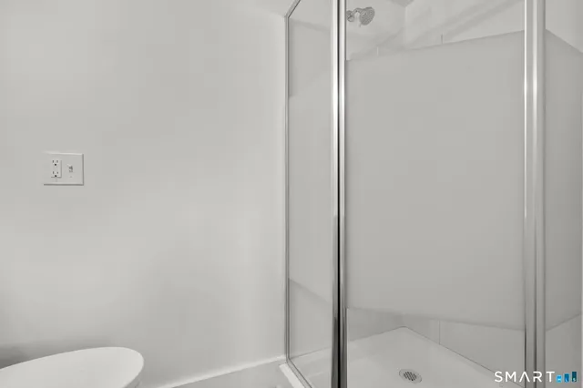 a bathroom with a shower and toilet