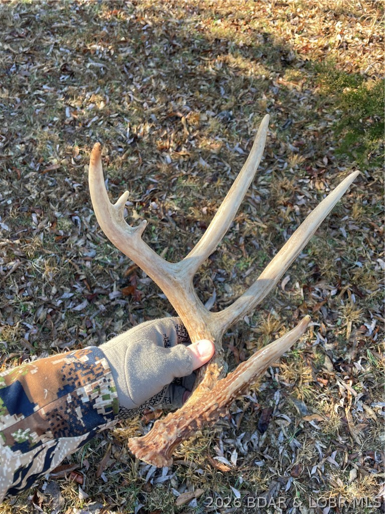 19655 Inlet Road Versailles, MO 65084 - Photo 59 of 66