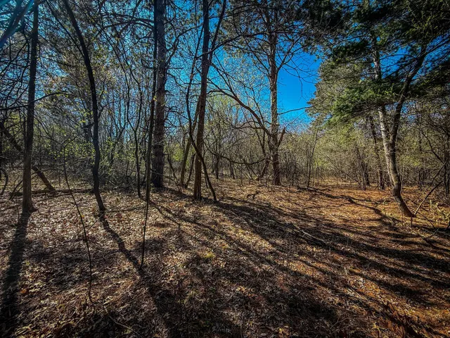 $799,000 | 14 County 14 Boulevard, Cannon Falls, MN 55009