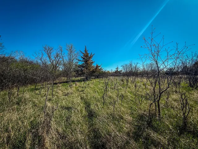 $799,000 | 14 County 14 Boulevard, Cannon Falls, MN 55009