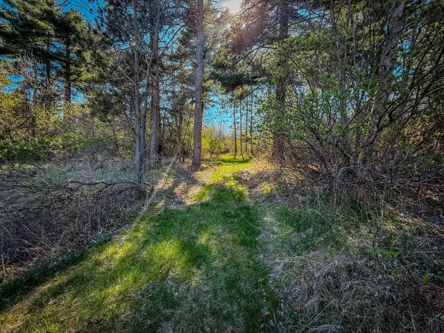 $799,000 | 14 County 14 Boulevard, Cannon Falls, MN 55009