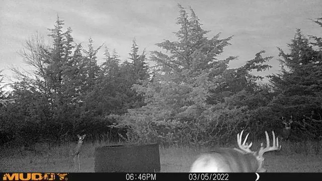 $799,000 | 14 County 14 Boulevard, Cannon Falls, MN 55009