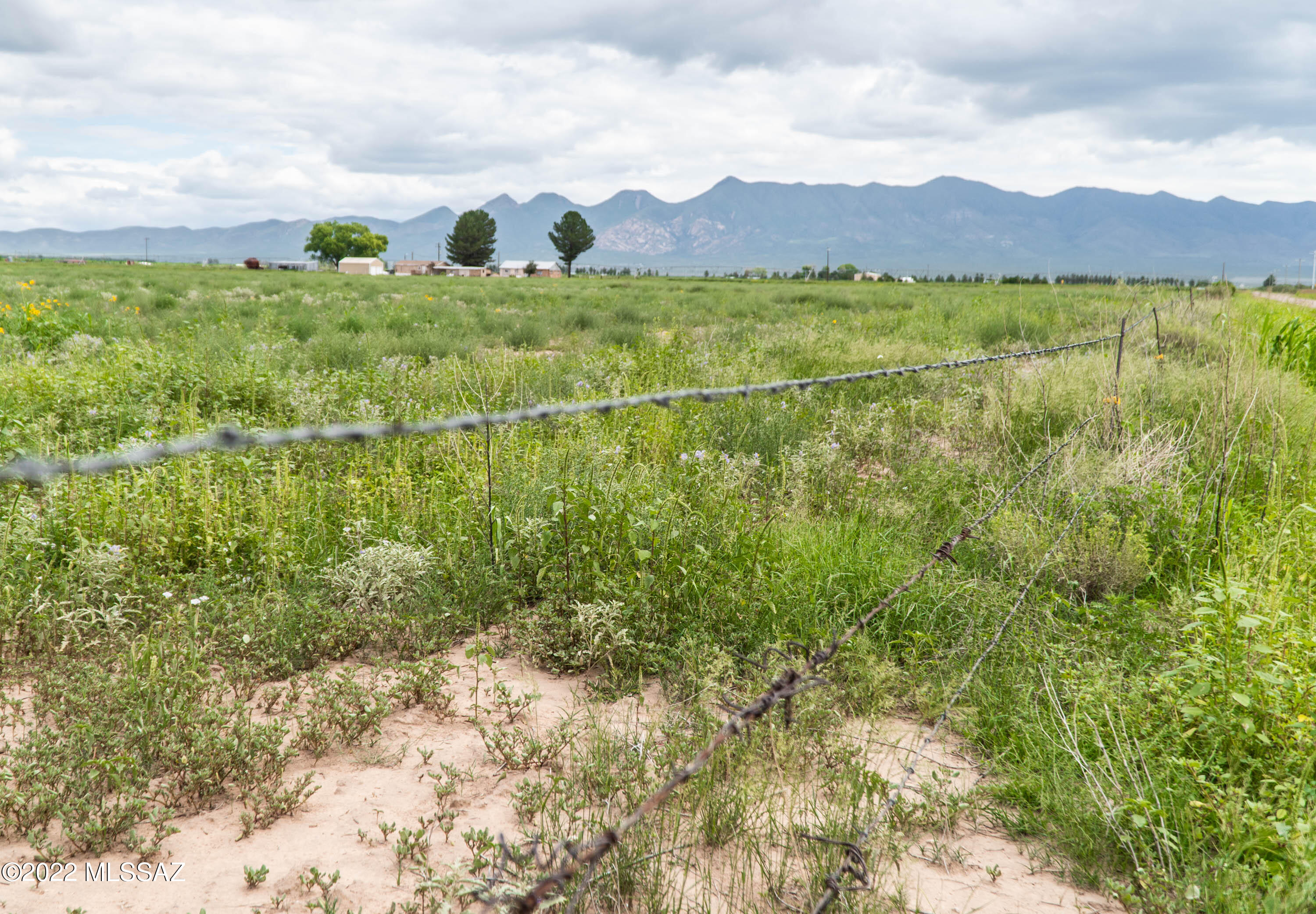 30 Acres W Hedges Road Elfrida, AZ 85610 - Photo 5 of 10