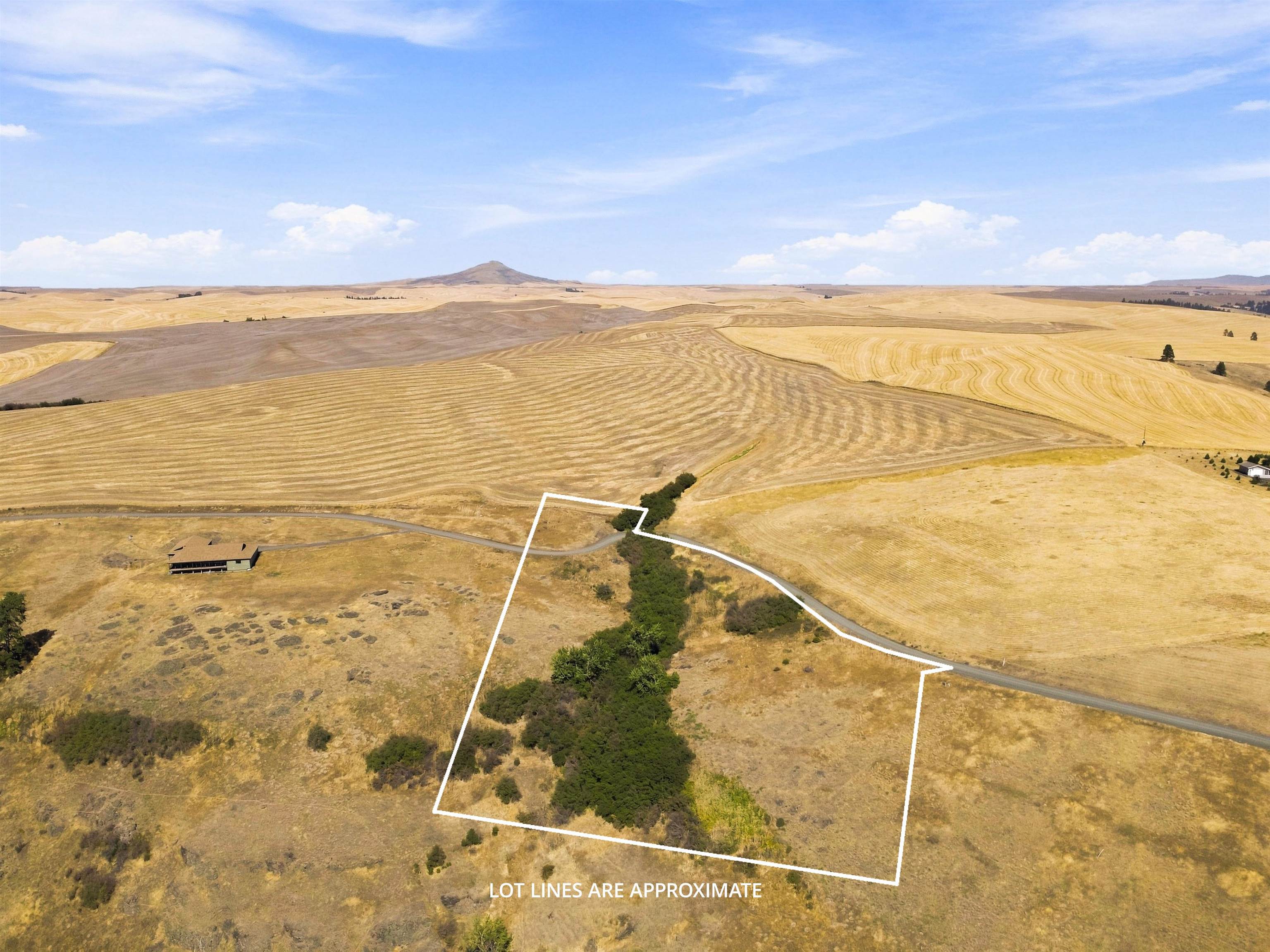 8-acre Lot Red Tail Ridge Road Colfax, WA 99111 - Photo 15 of 22 Gallery Image 15