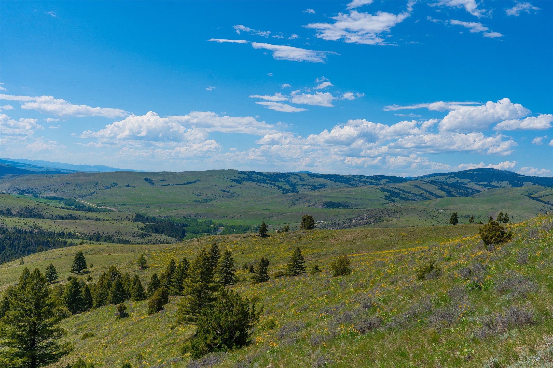 Tbd Lot 52 Tbd Road Helmville, MT 59843 - Photo 29 of 41 Gallery Image 29