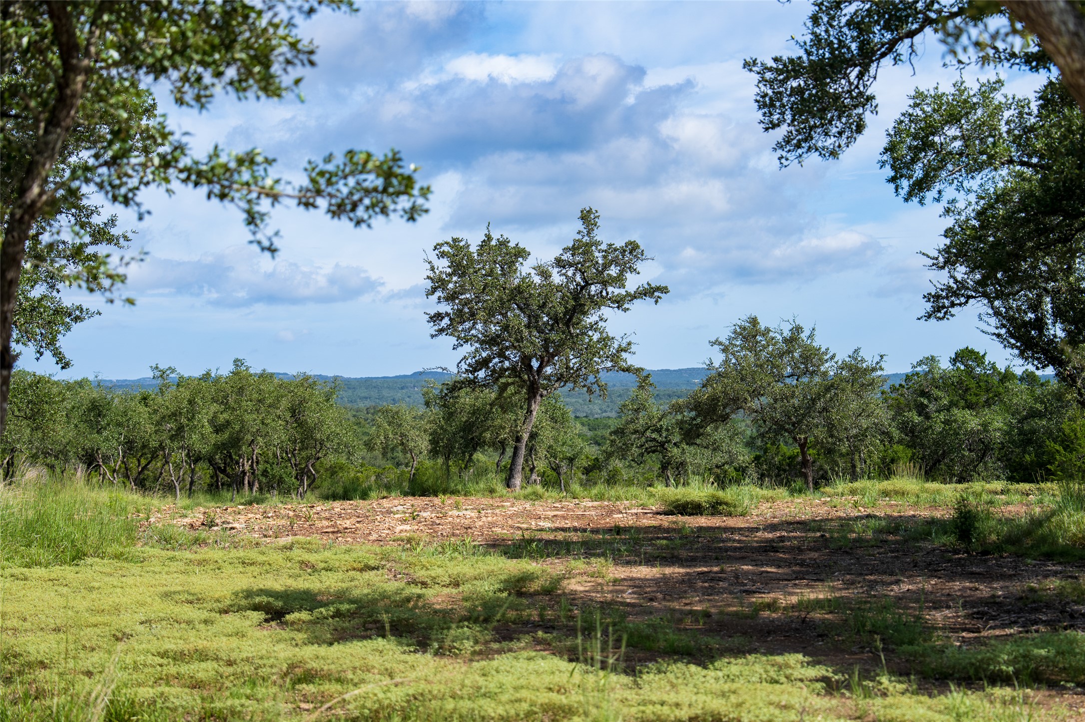 View of local wilderness featuring rural landscape