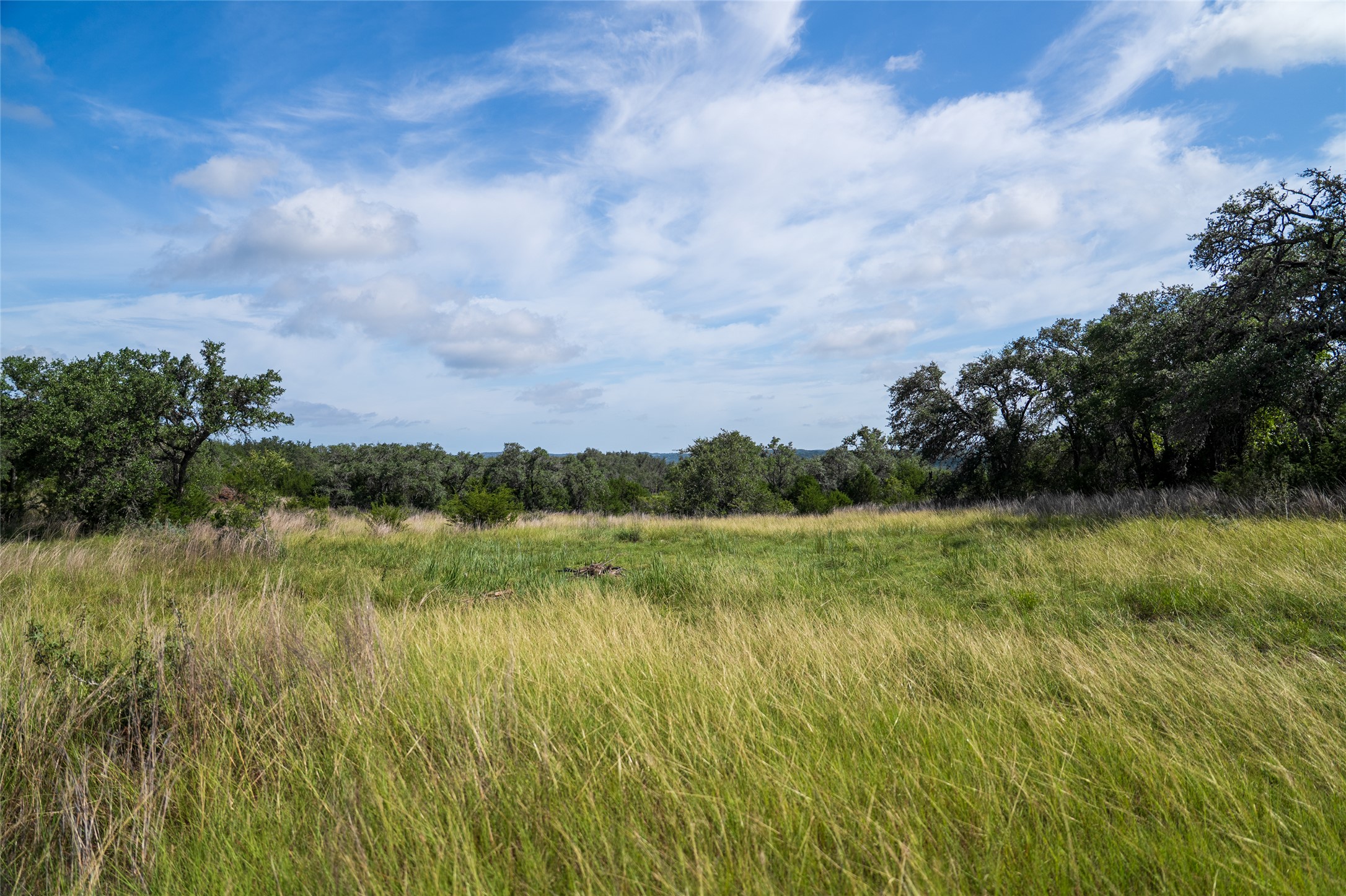 5 Pump Station Road Wimberley, TX 78676 - Photo 6 of 17 View of tree filled area with a view of countryside