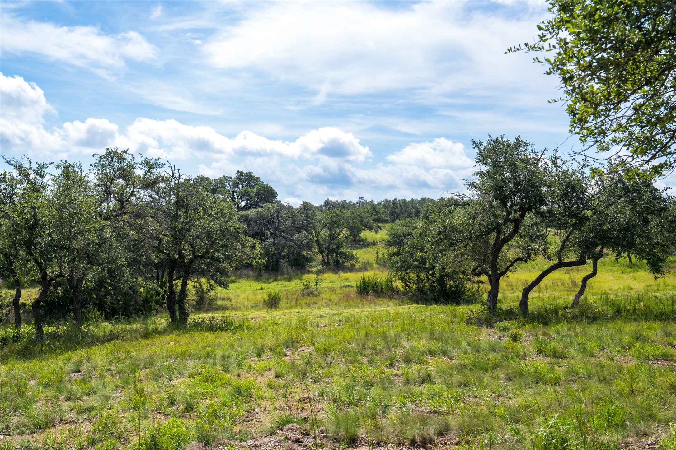 5 Pump Station Road Wimberley, TX 78676 - Photo 10 of 17 View of local wilderness