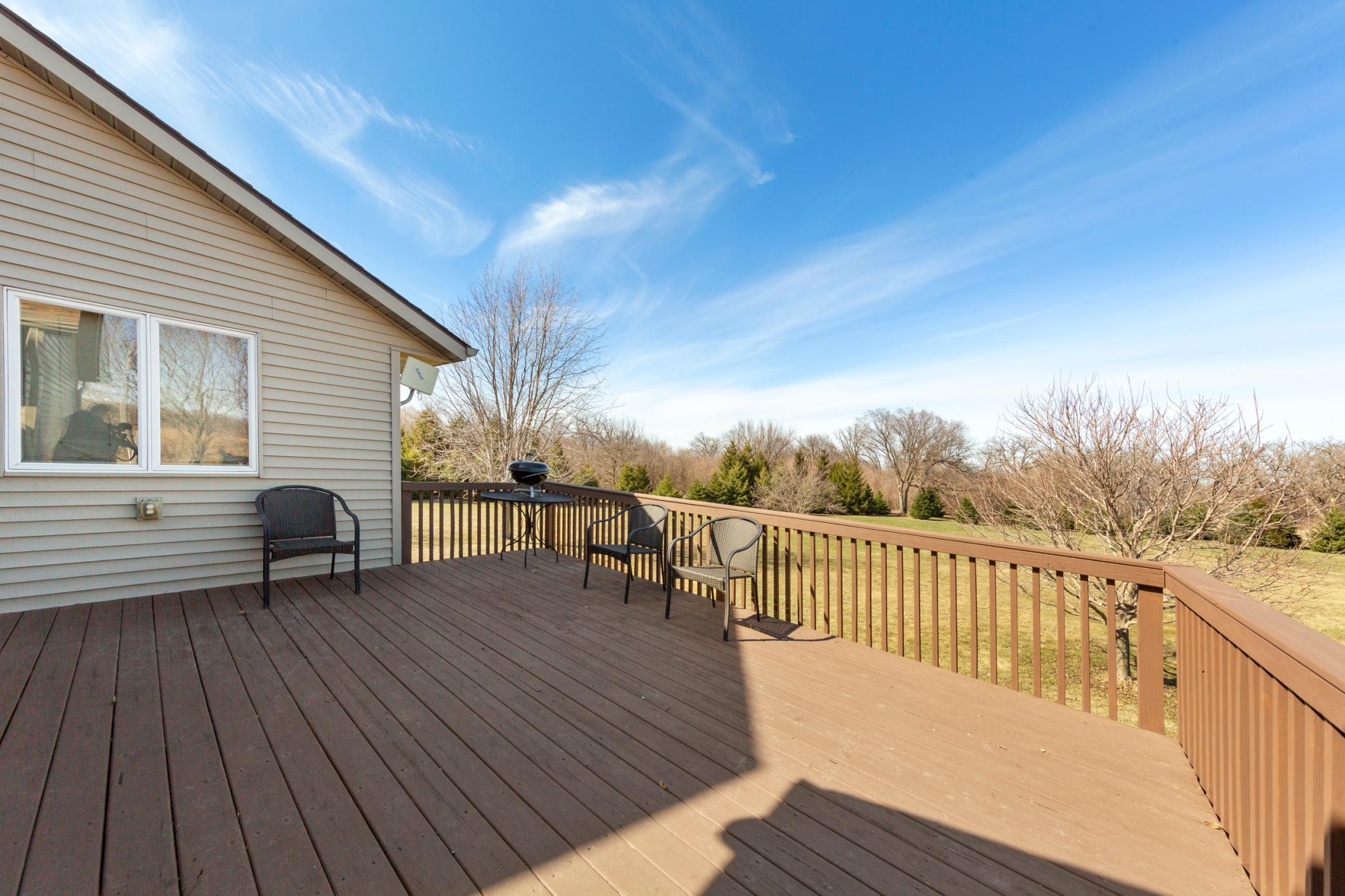 77728 325th Street Ellendale, MN 56026 - Photo 6 of 58