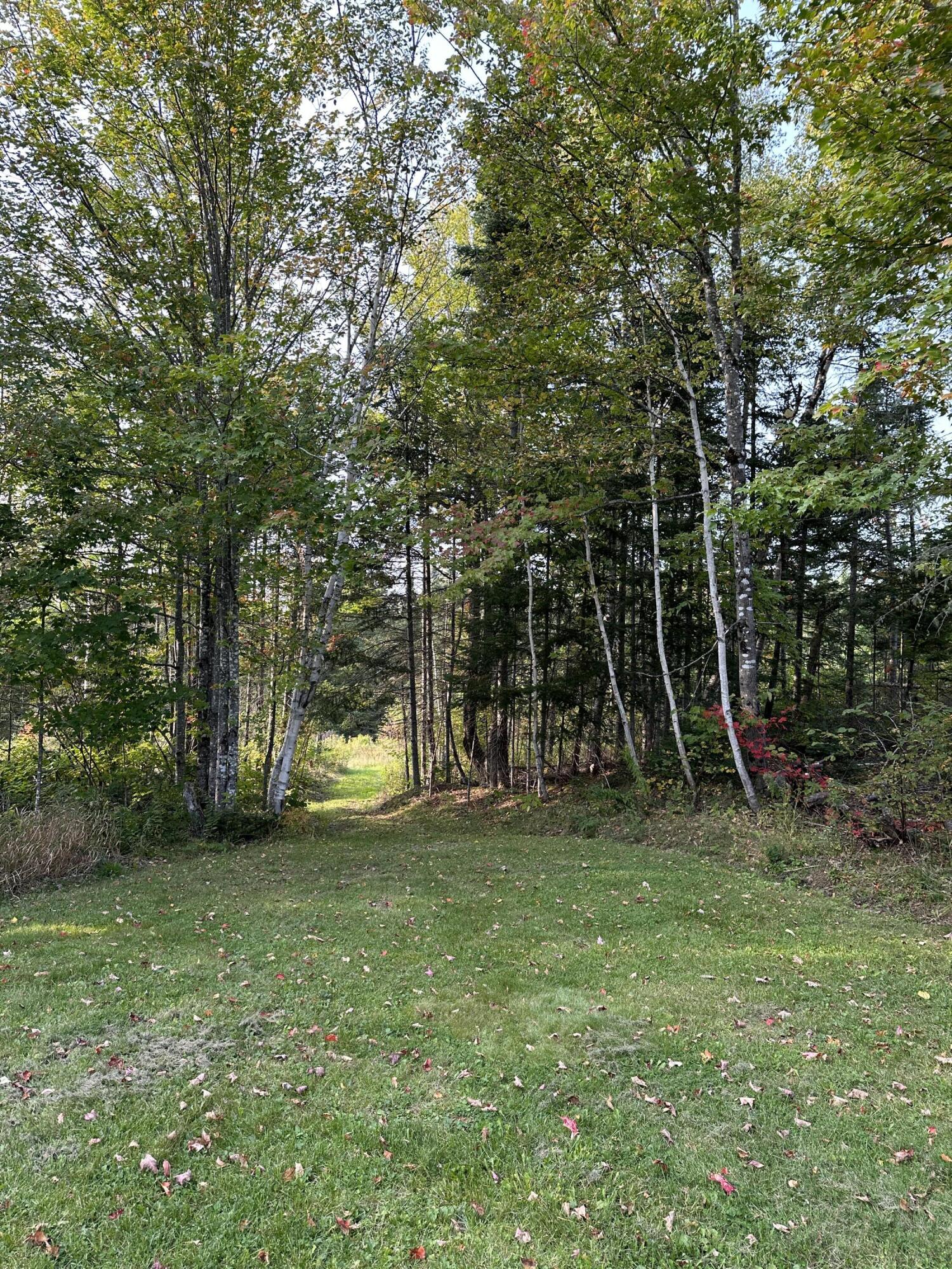 3195 State Road Mapleton, ME 04757 - Photo 39 of 42 IMG_2871(3)