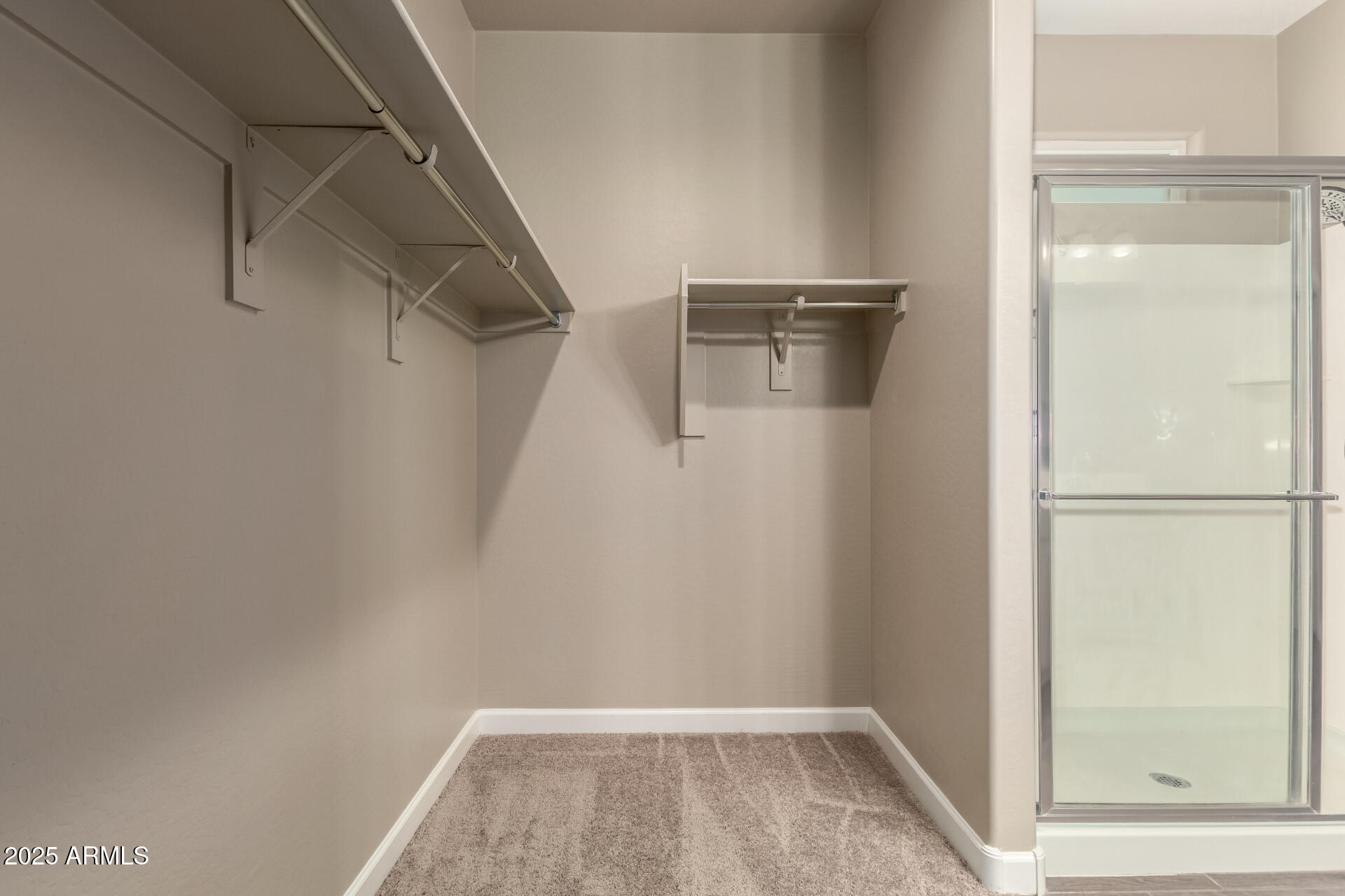 1357 East Chillingham Road San Tan Valley, AZ 85143 - Photo 19 of 32 a view of a room with racks on the wall