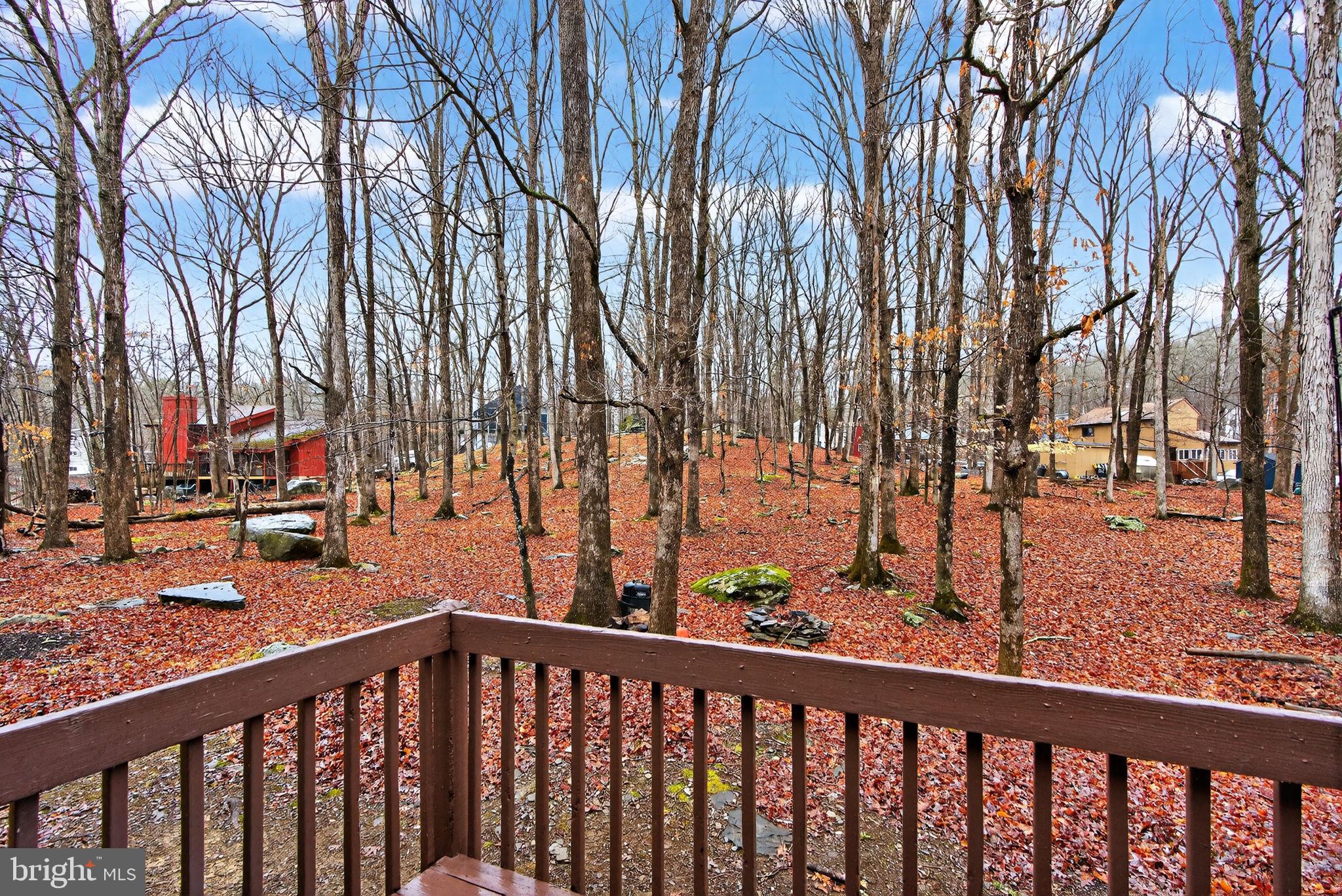 244 Canterbury Road Bushkill, PA 18324 - Photo 9 of 45 Serene woodland retreat awaits you.