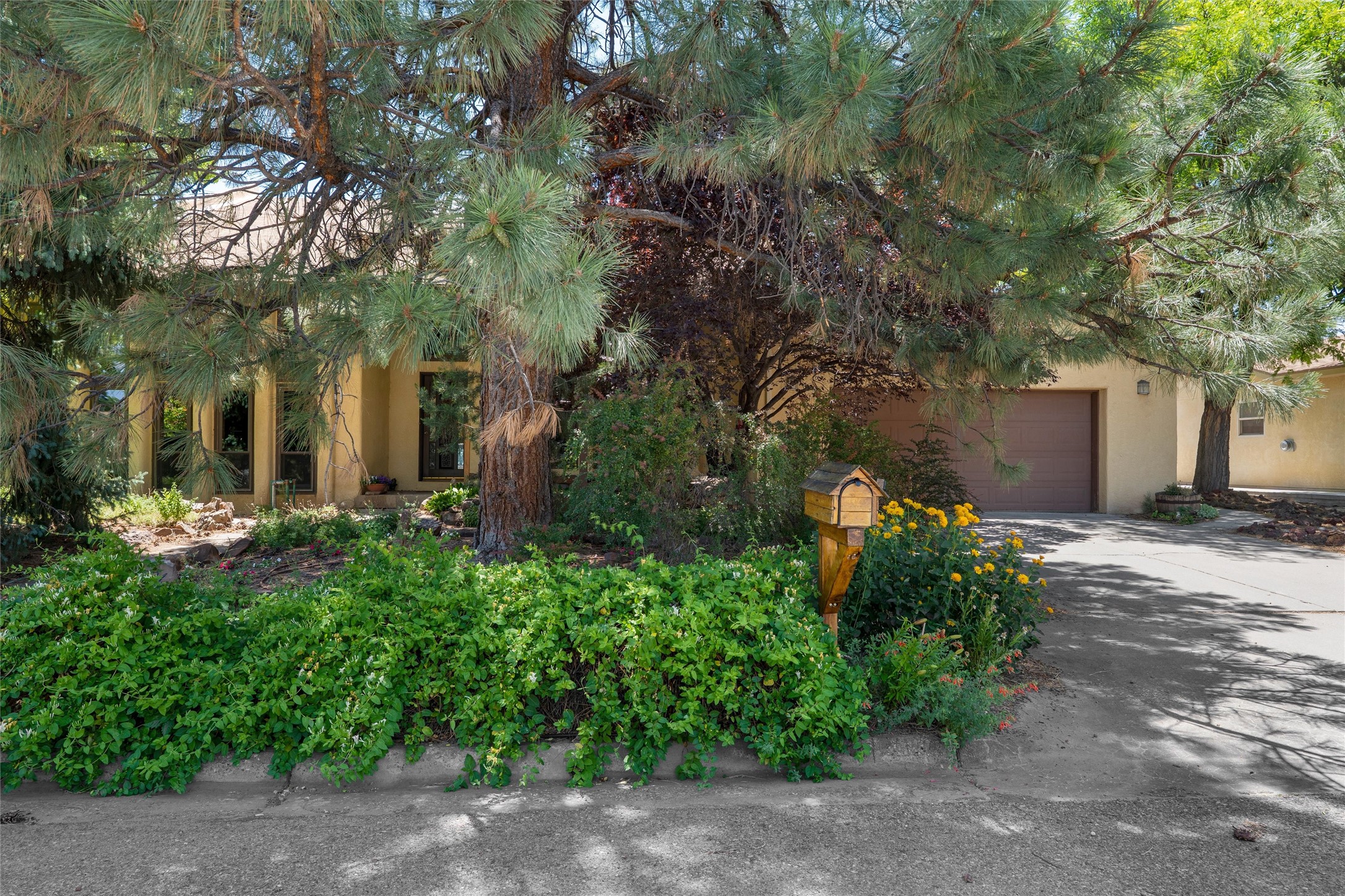 521 Ridgecrest Avenue White Rock, NM 87547 - Photo 4 of 85