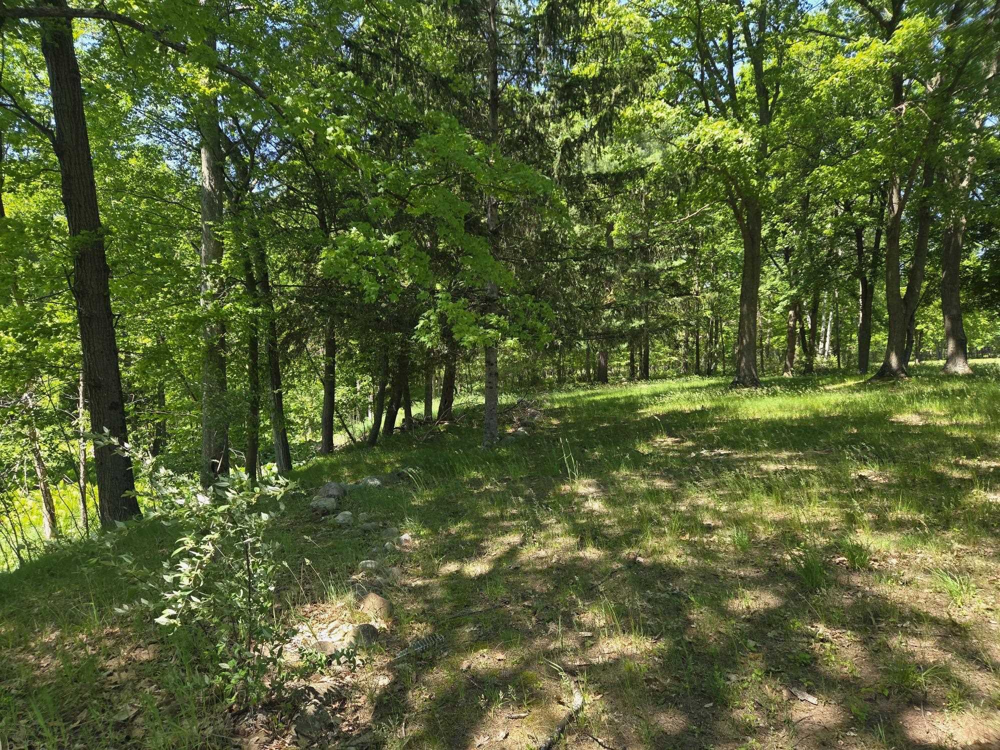5172 West Pickard Road Mount Pleasant, MI 48858 - Photo 11 of 23