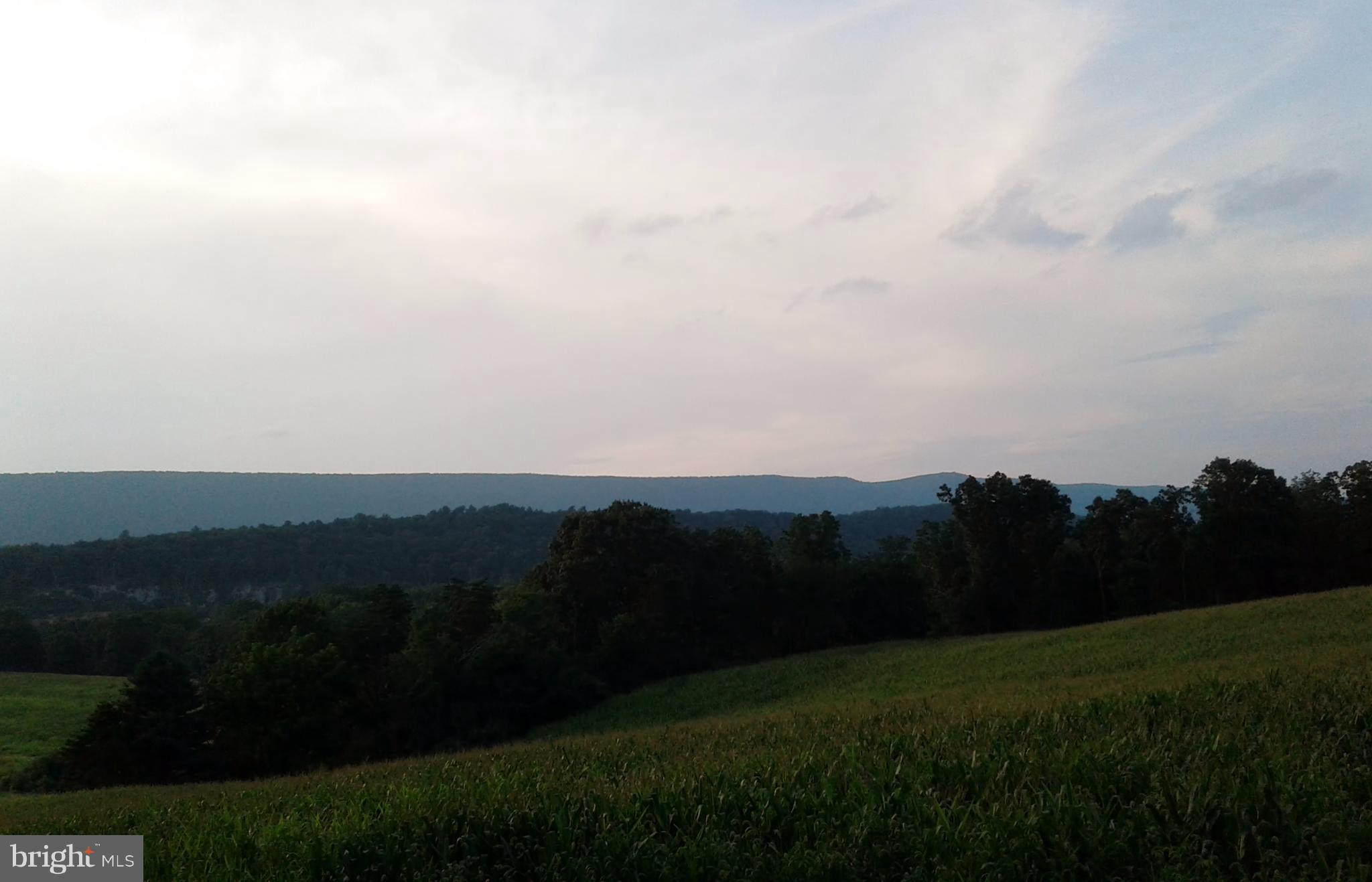 1 Allemong Road Berkeley Springs, WV 25411 - Photo 1 of 6 View