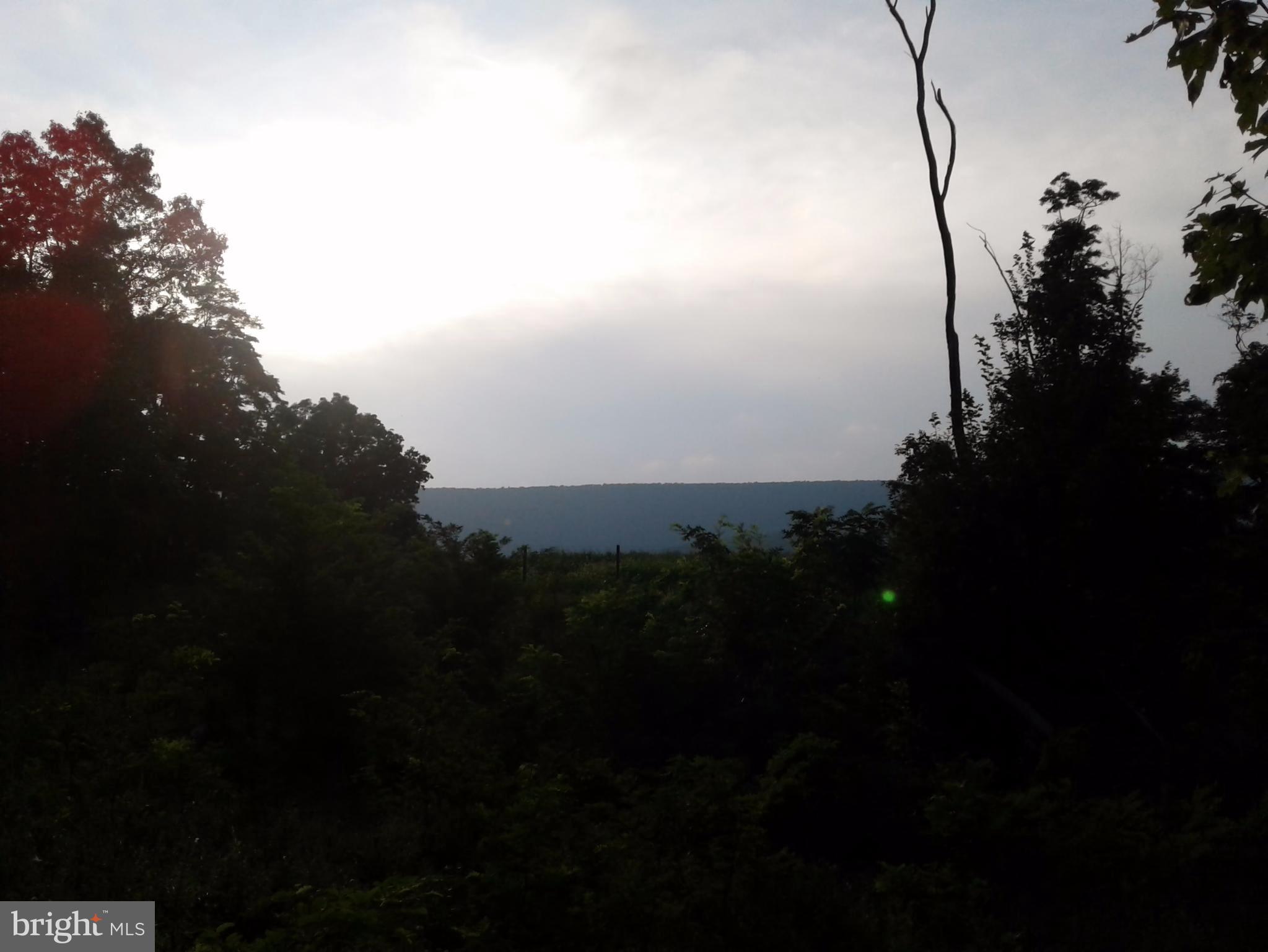 1 Allemong Road Berkeley Springs, WV 25411 - Photo 2 of 6 View