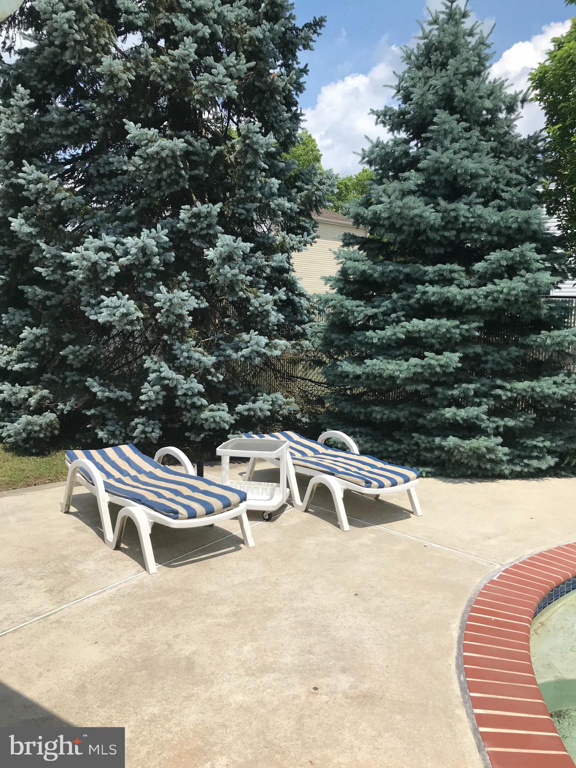 1629 Radburn Road Bensalem, PA 19020 - Photo 28 of 34 Pool surrounded by Beautiful trees