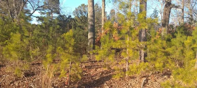 $3,190,000 | 4771 Highway 92, Acworth, GA 30102