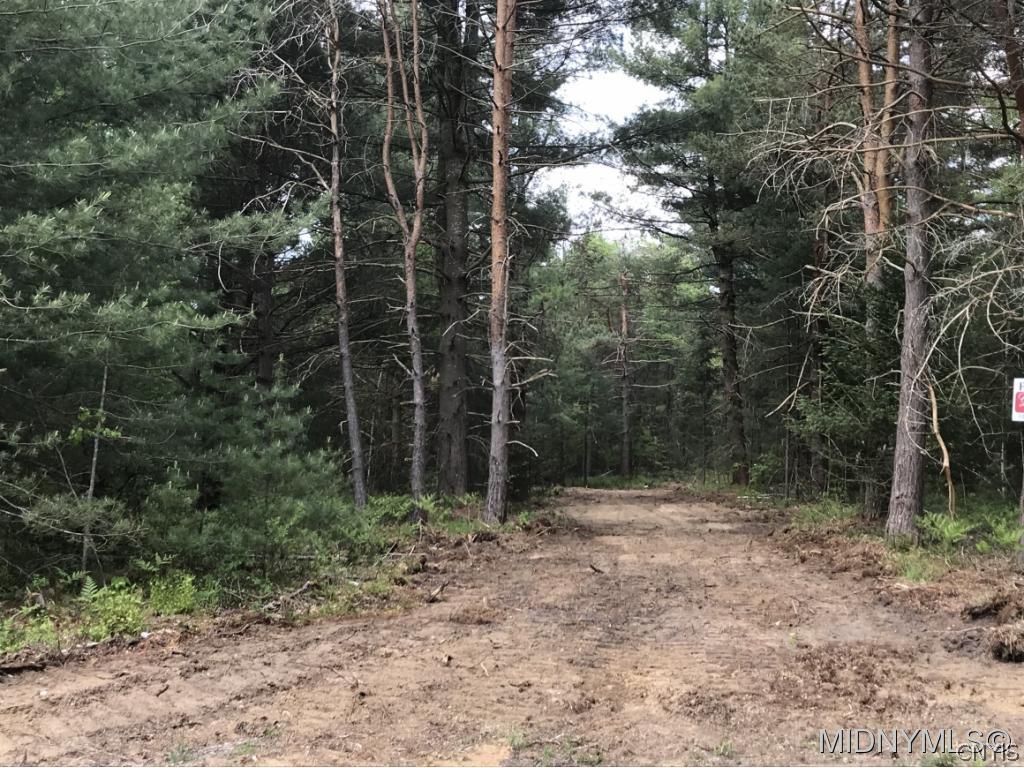 2 Blue Waters Estates Remsen, NY 13438 - Photo 1 of 1 Gallery Image 1