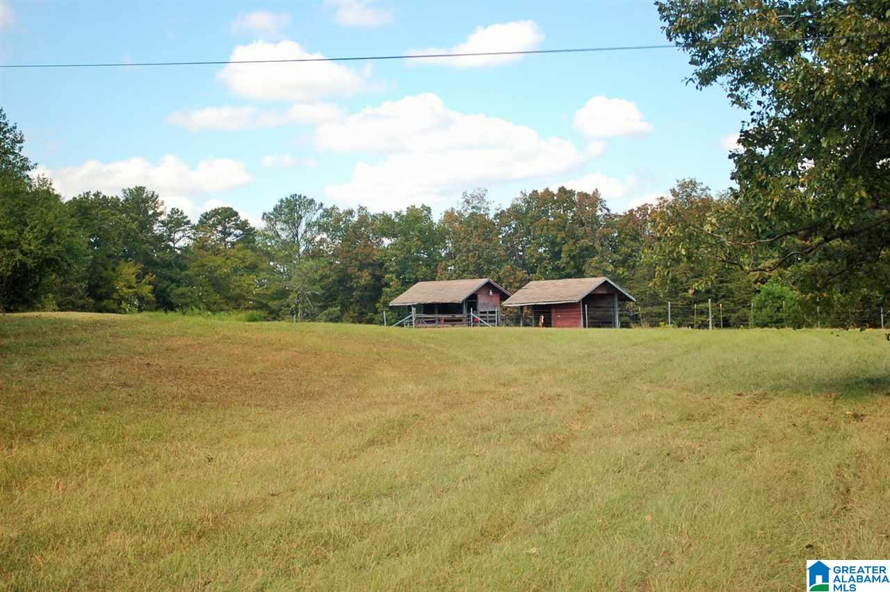 905 Sitton Road Hayden, AL 35079 - Photo 11 of 34