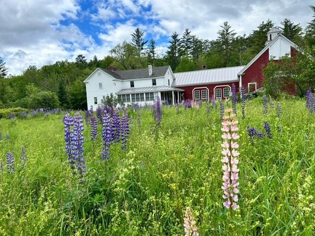 224 Lafayette Road Franconia, NH 03580 - Photo 5 of 28