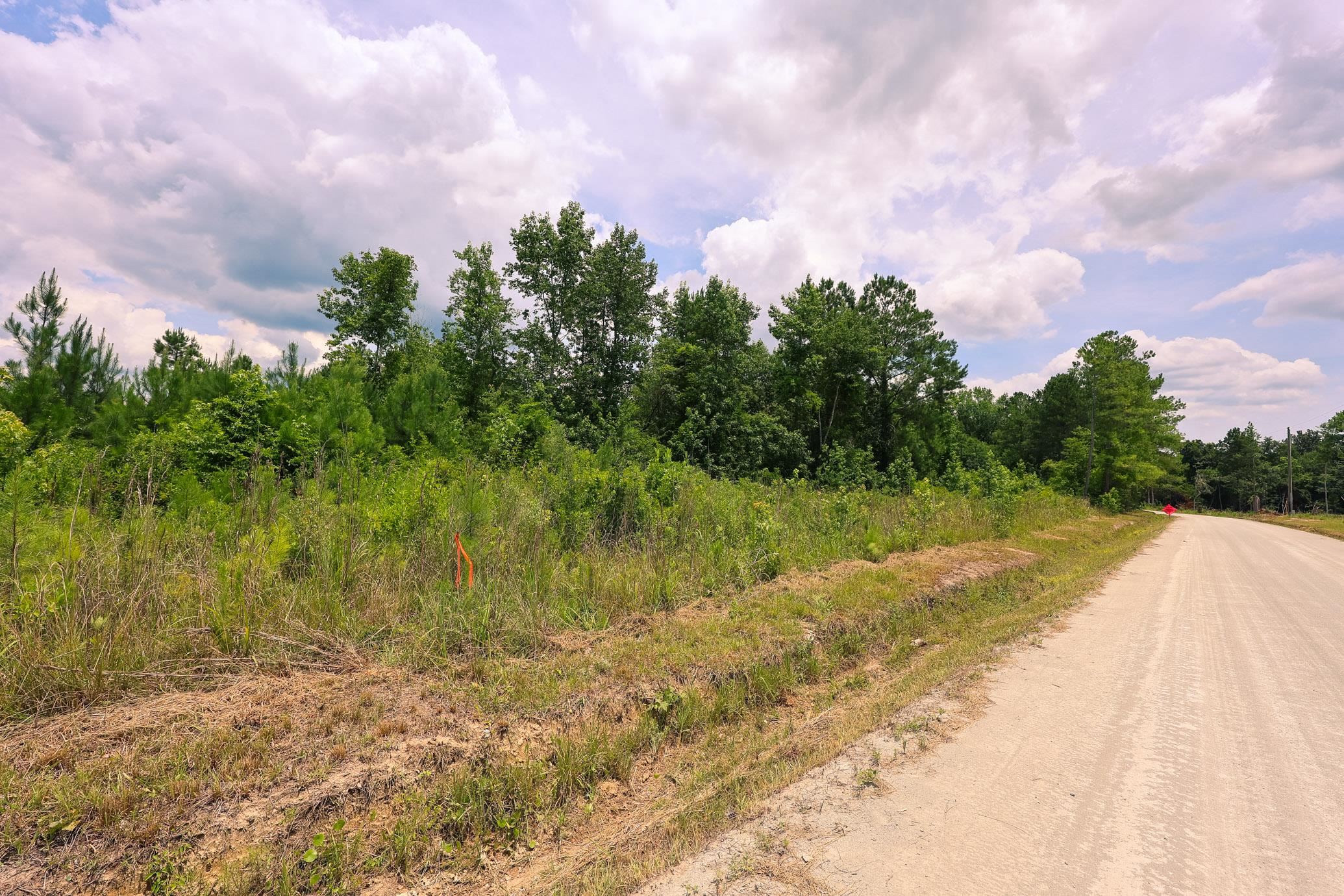 Lot C Lot C Friers Bay Road Loris, SC 29569 - Photo 5 of 7