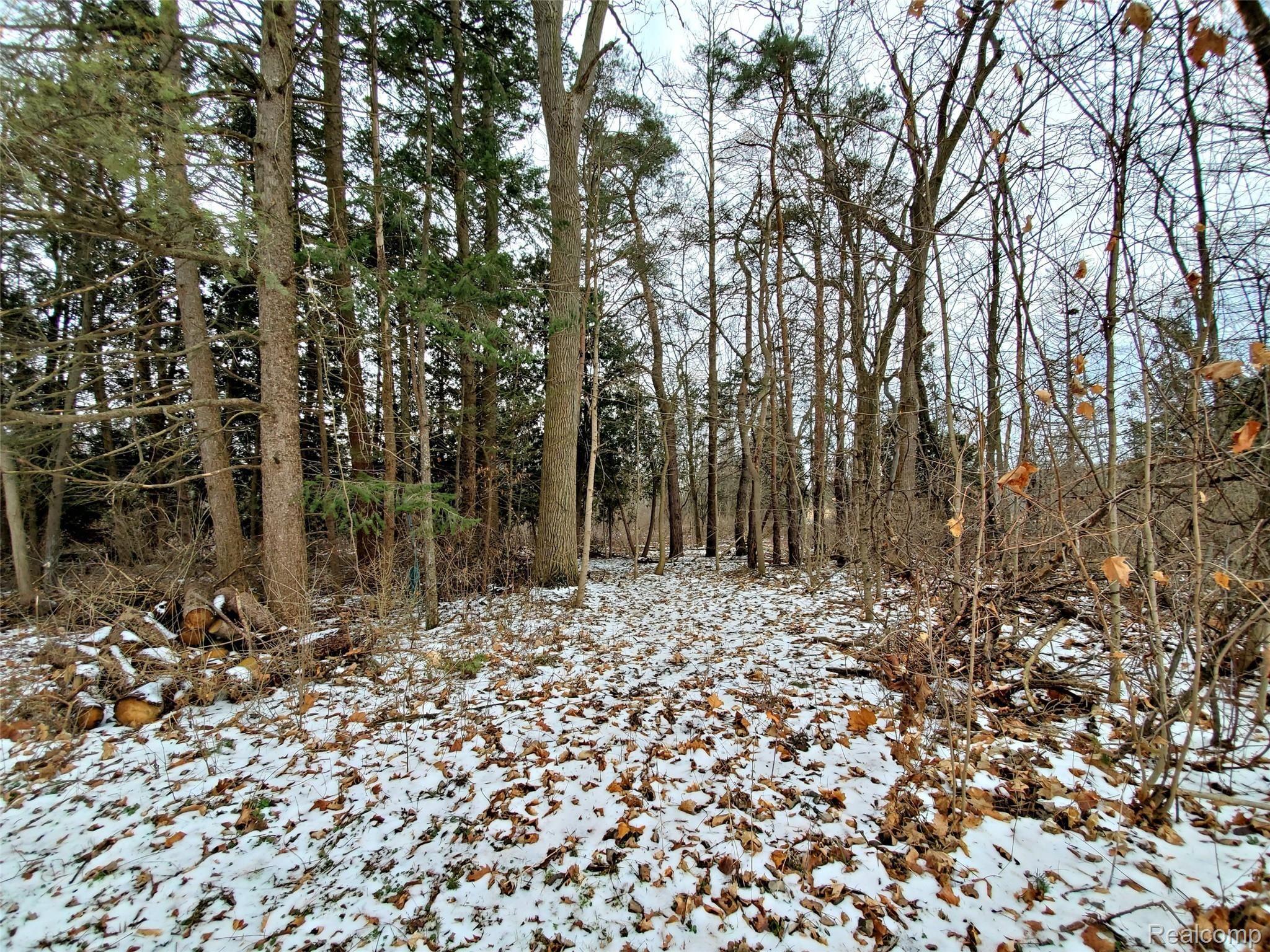 6356 Fenton Road Flint, MI 48507 - Photo 6 of 34 6.jpg