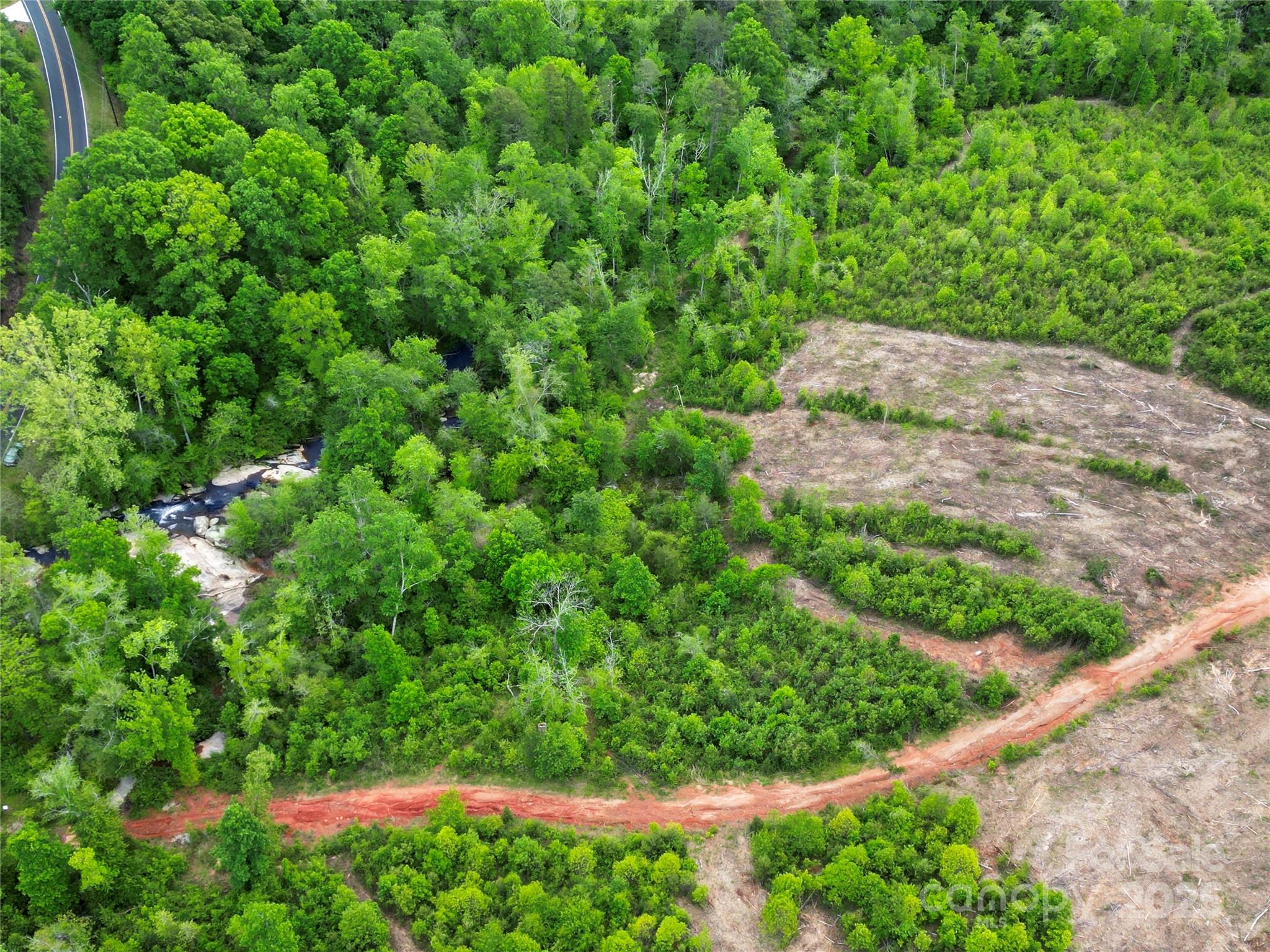 0 Rockford Road Shelby, NC 28152 - Photo 2 of 7 a view of a garden with a plant