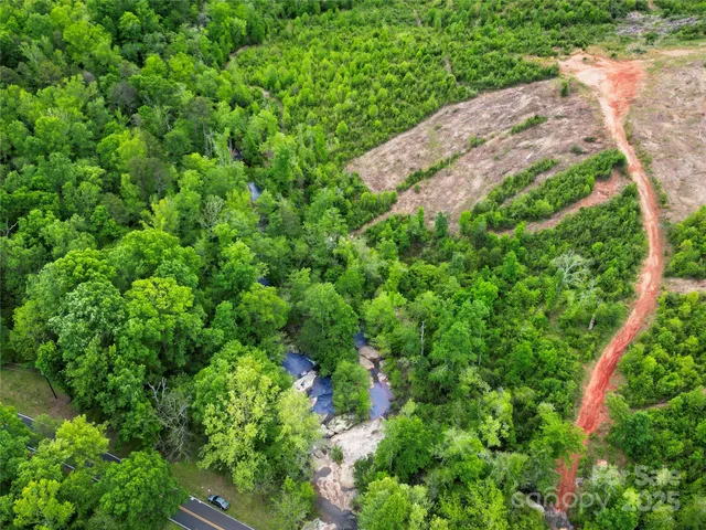 a view of a lush green forest