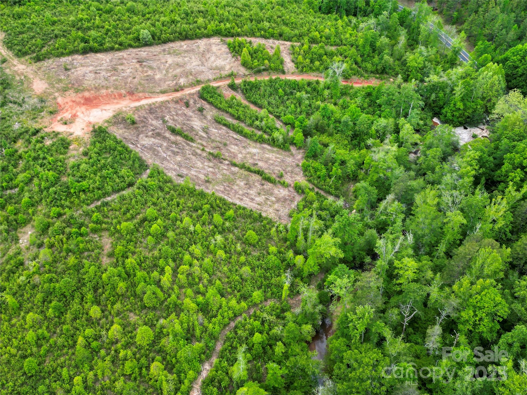 0 Rockford Road Shelby, NC 28152 - Photo 5 of 7 a view of a yard with plants and a bench