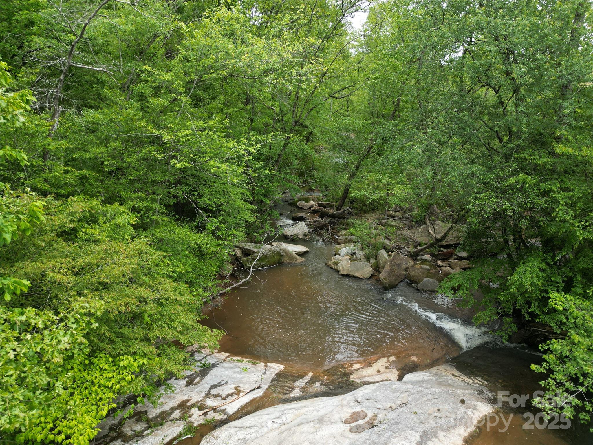 0 Rockford Road Shelby, NC 28152 - Photo 6 of 7 a view of a tree