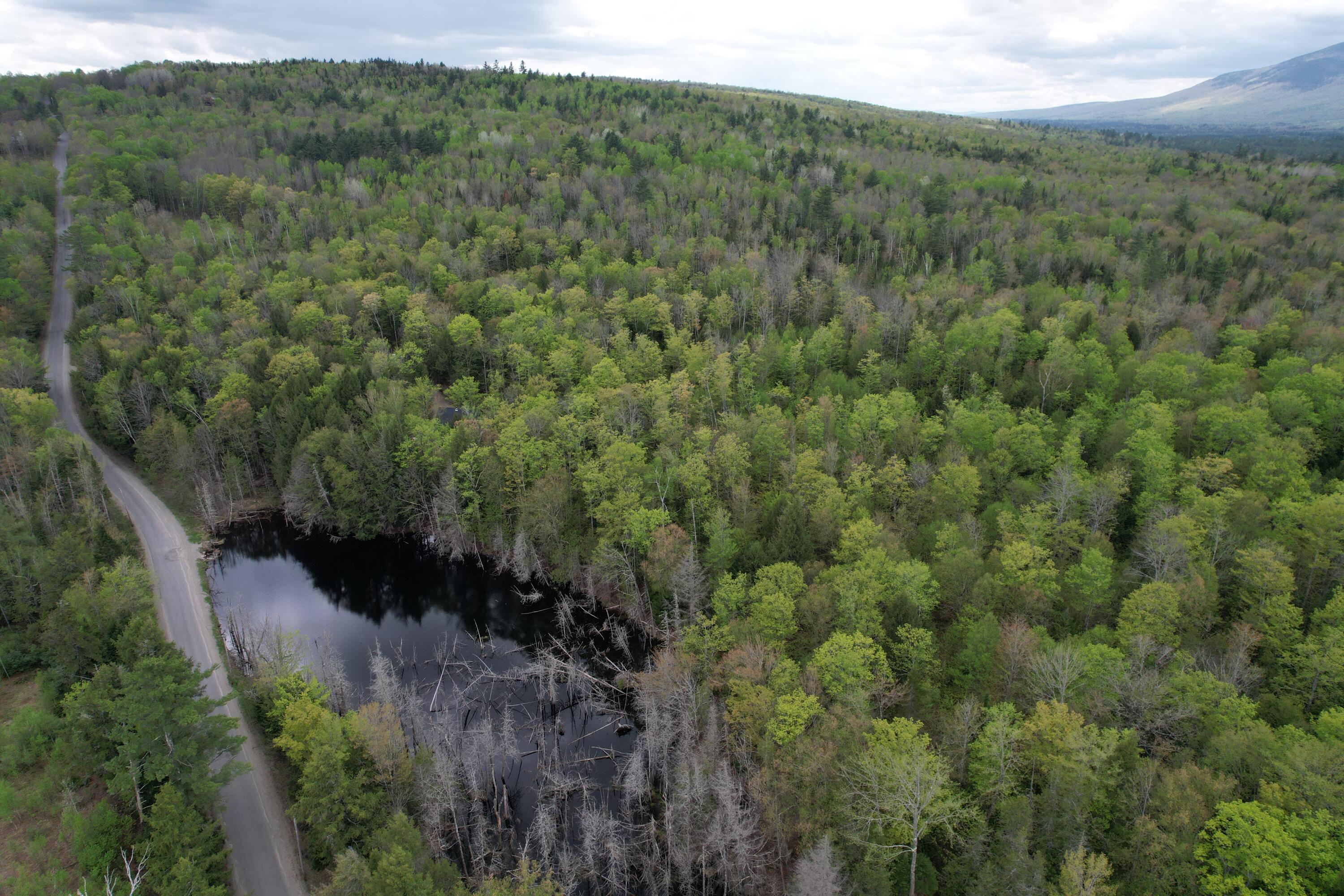 Lot 2 Freeman Ridge Road Kingfield, ME 04947 - Photo 9 of 12 DJI_0142