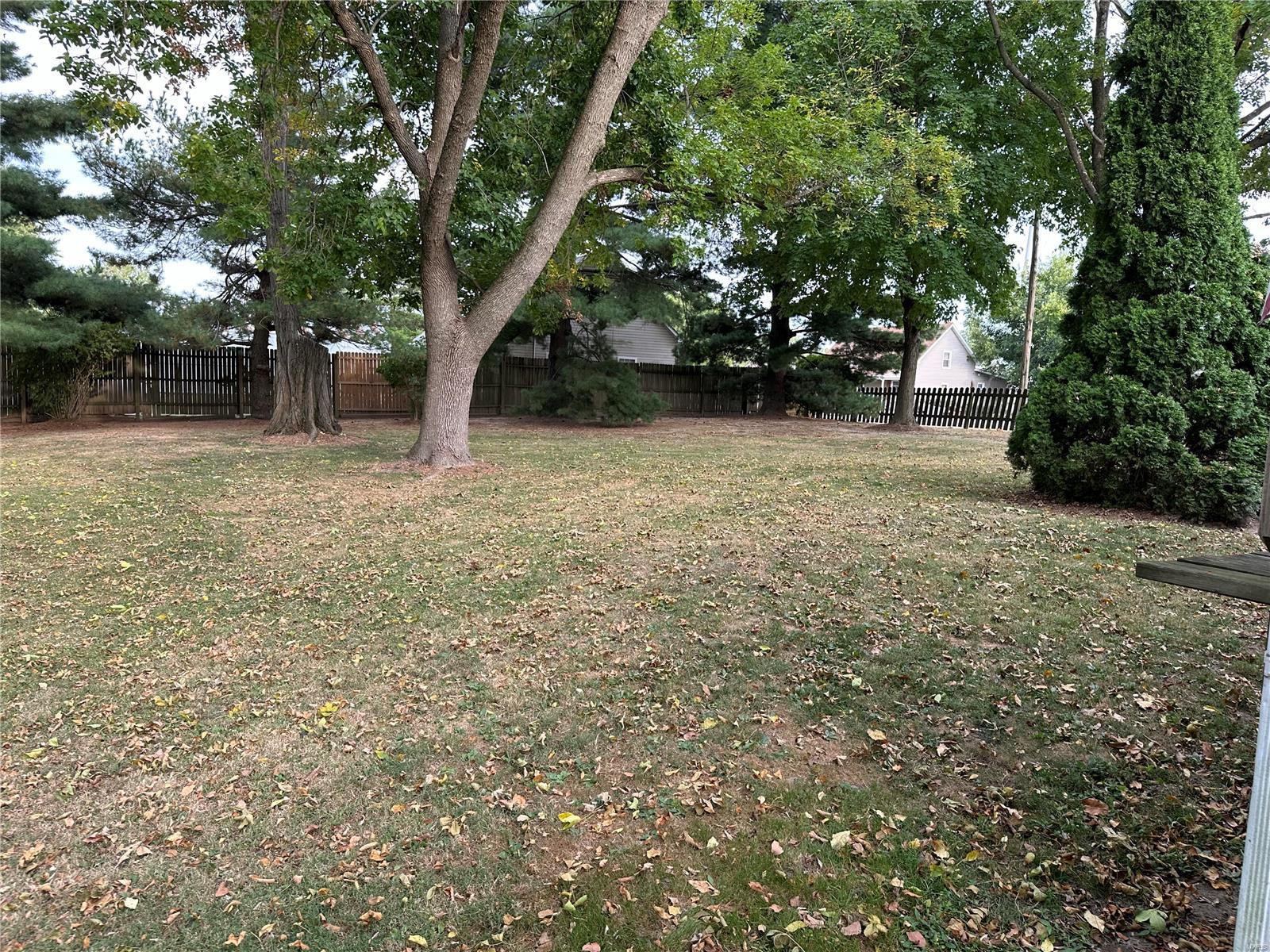 211 Warren Street Fieldon, IL 62031 - Photo 6 of 16