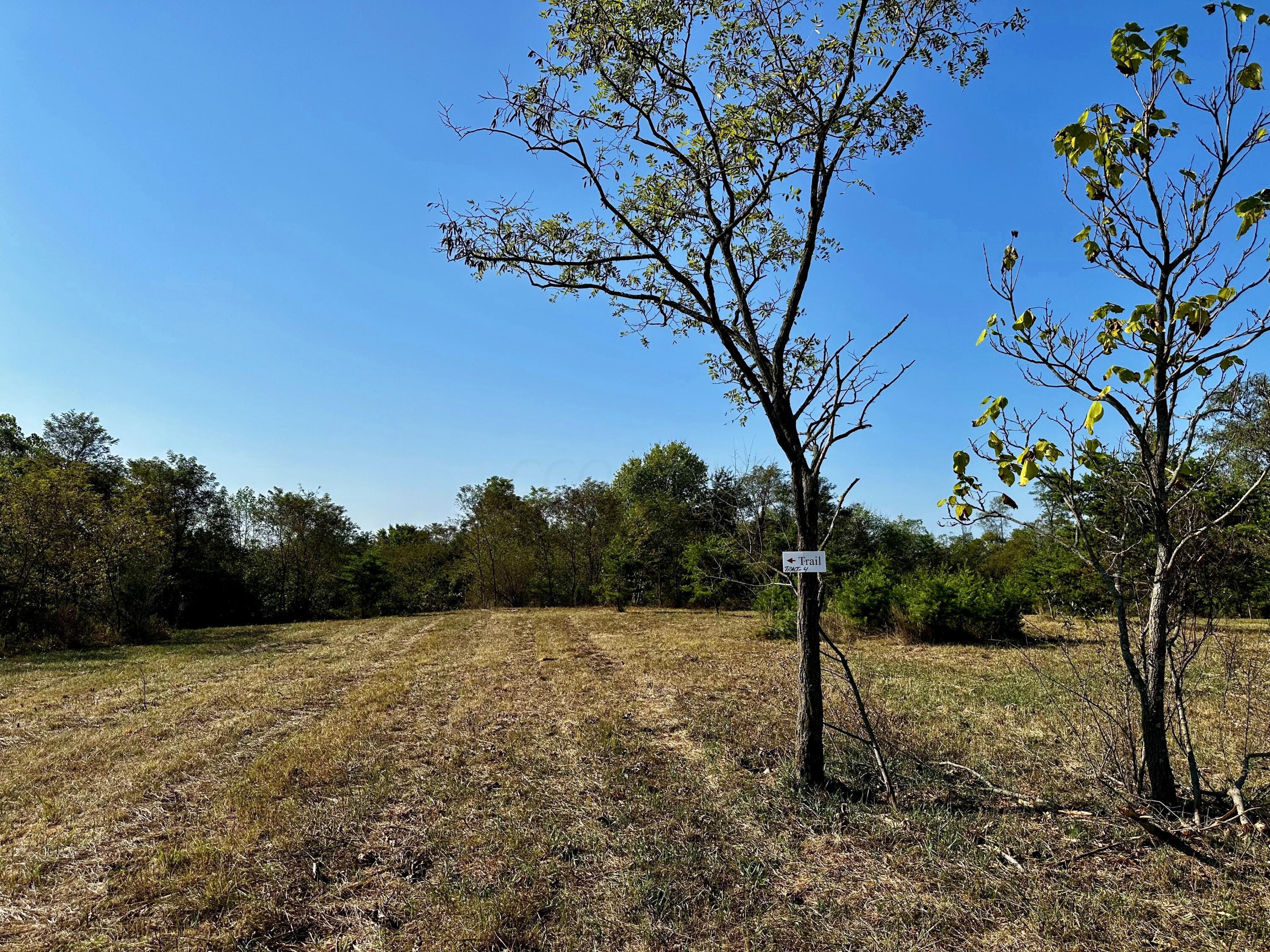0 Dutch Ridge Road, Unit TRACT 4 AT DUTCH RIDGE) New Straitsville, OH 43766 - Photo 14 of 53 20240920_135648536_iOS