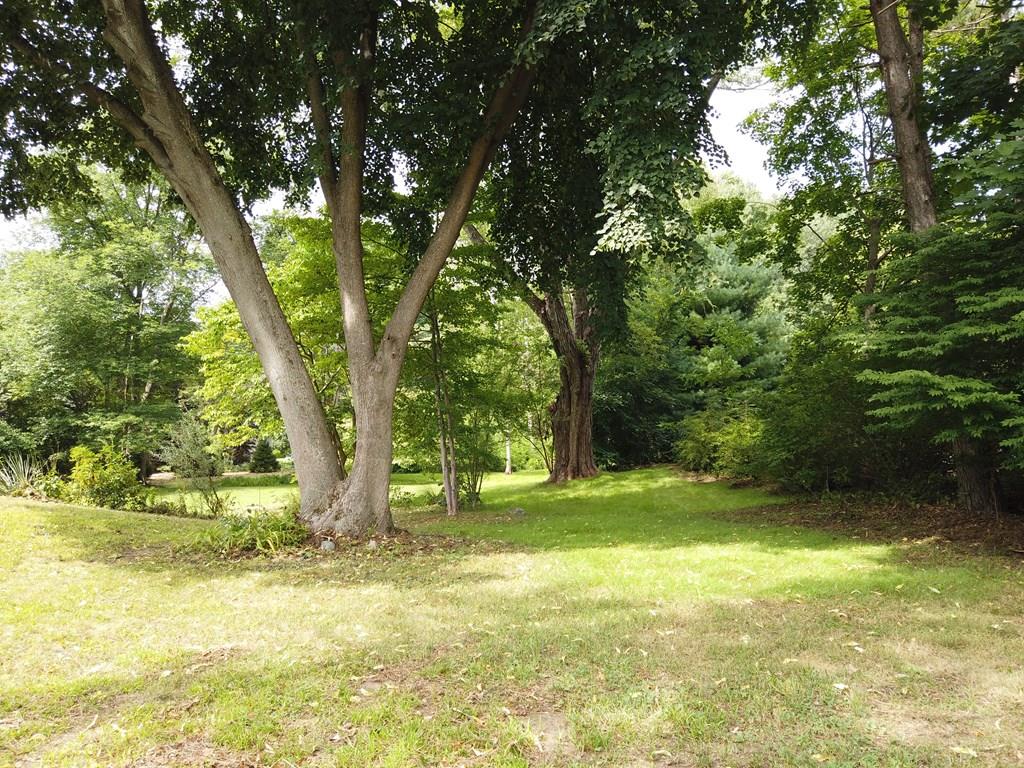 3 Cameron Road Wayland, MA 01778 - Photo 35 of 42 Gallery Image 35