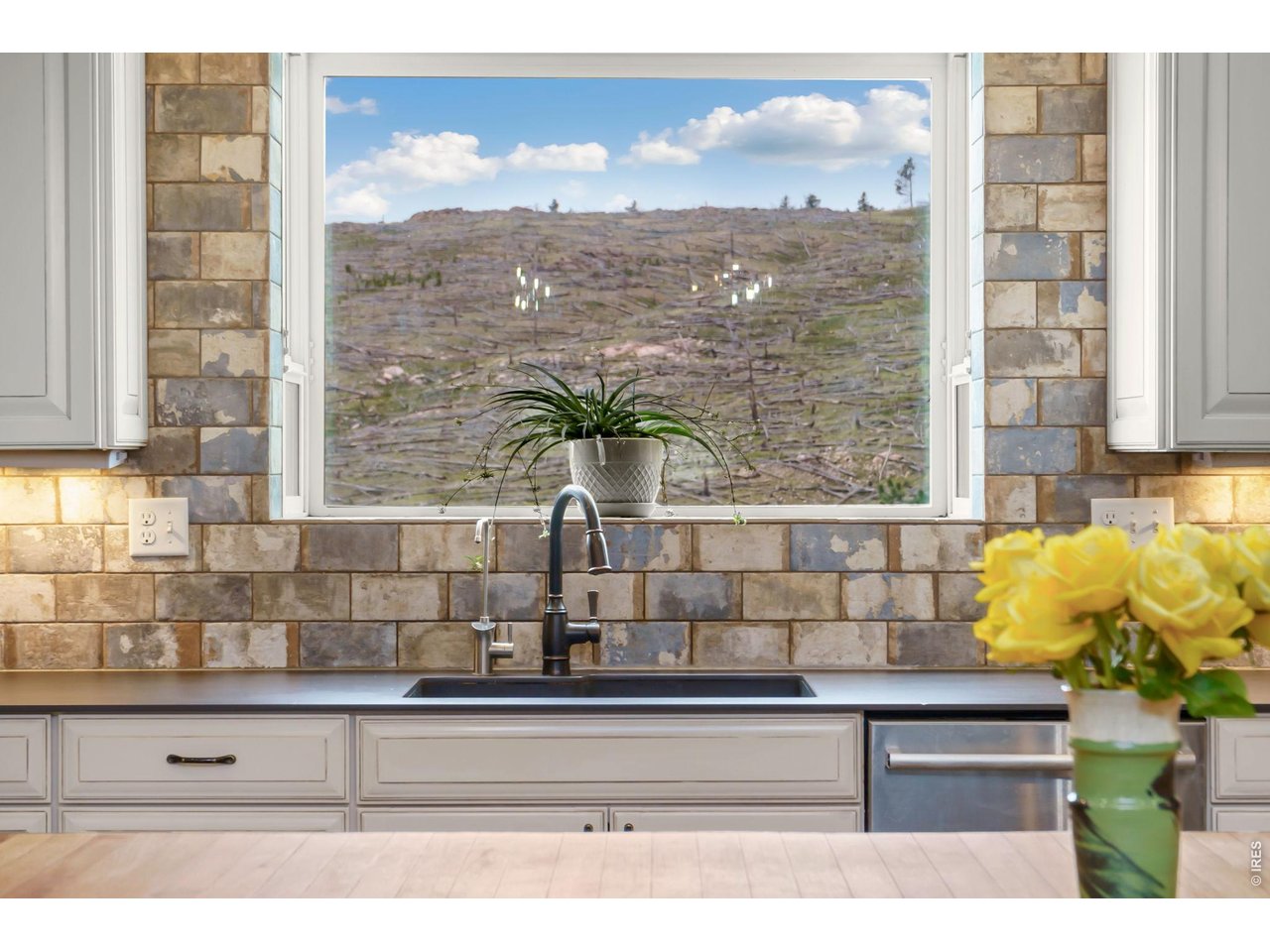 2051 Stove Prairie Road Bellvue, CO 80512 - Photo 4 of 50 views from every window