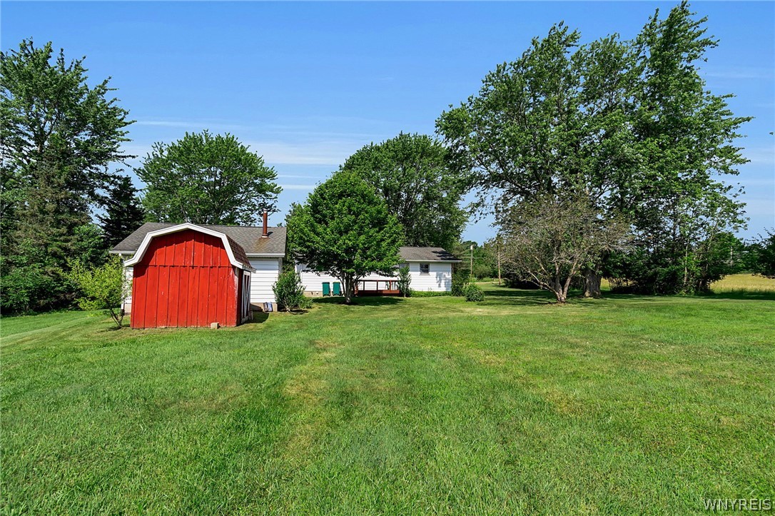 8009 Lewis Road Colden, NY 14080 - Photo 45 of 50