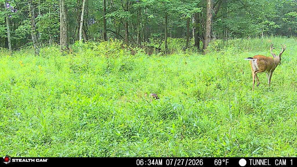 1271 A Tunnel Ridge Road Grayson, KY 41143 - Photo 128 of 134 7.29.26 03