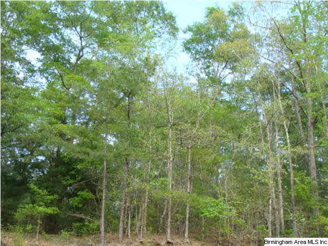 11 Crystal Lake Road, Unit 7 16 AC Lawley, AL 36793 - Photo 1 of 1