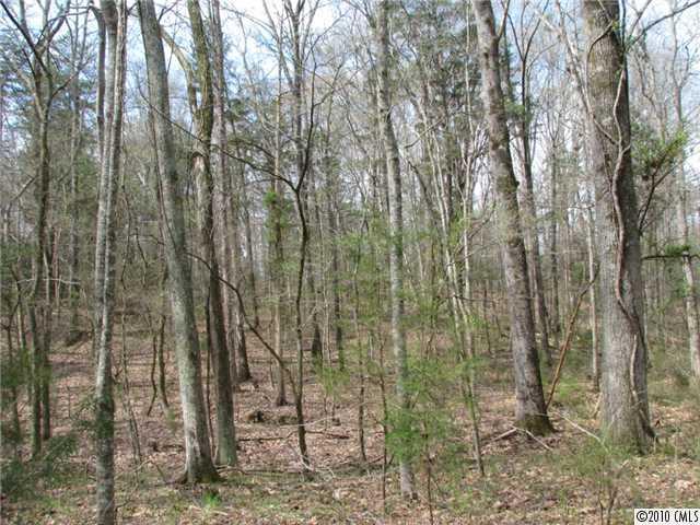 30 Williamson Road Rock Hill, SC 29730 - Photo 6 of 7 a view of a yard