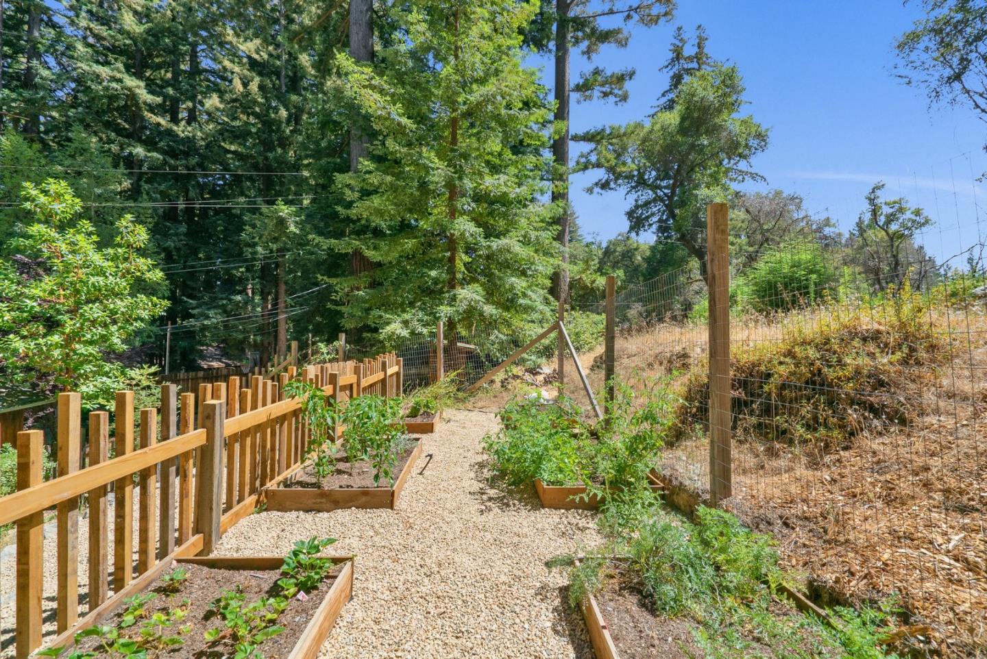 2175 Pine Flat Road Santa Cruz, CA 95060 - Photo 49 of 62 Gallery Image 49