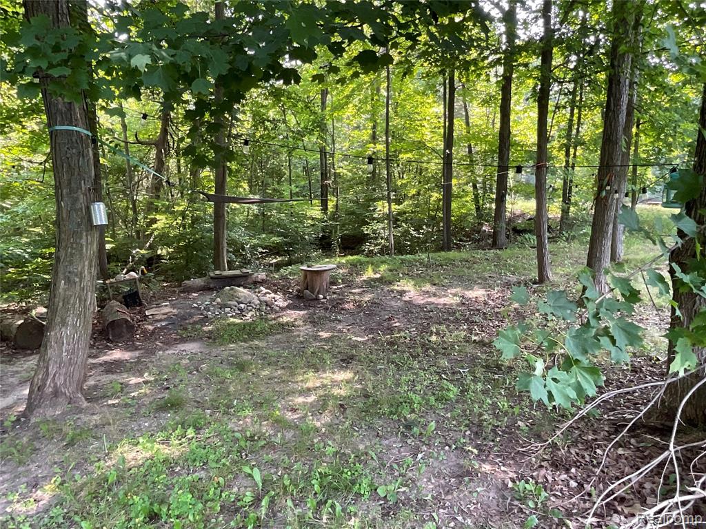 3425 Sutton Road Dryden, MI 48428 - Photo 41 of 74