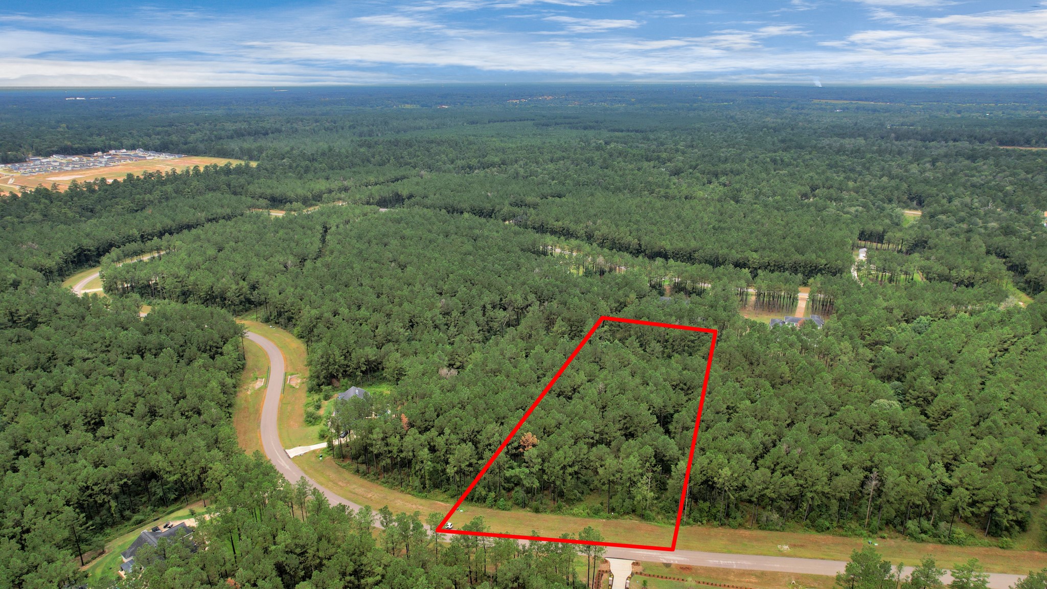 10940 Ruger Road Willis, TX 77378 - Photo 17 of 30 a view of a green yard with large trees