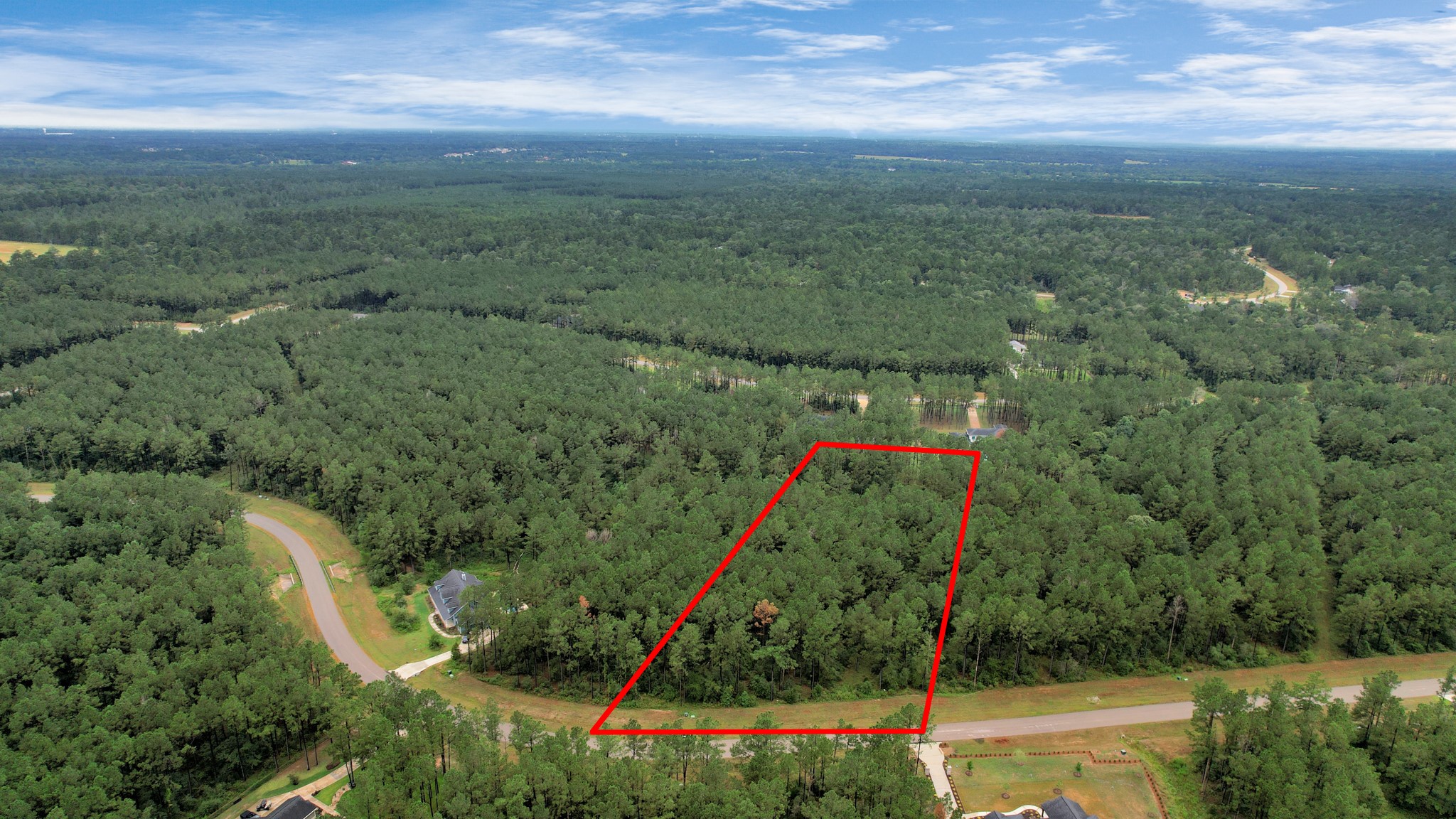 10940 Ruger Road Willis, TX 77378 - Photo 2 of 30 a view of a park with large trees