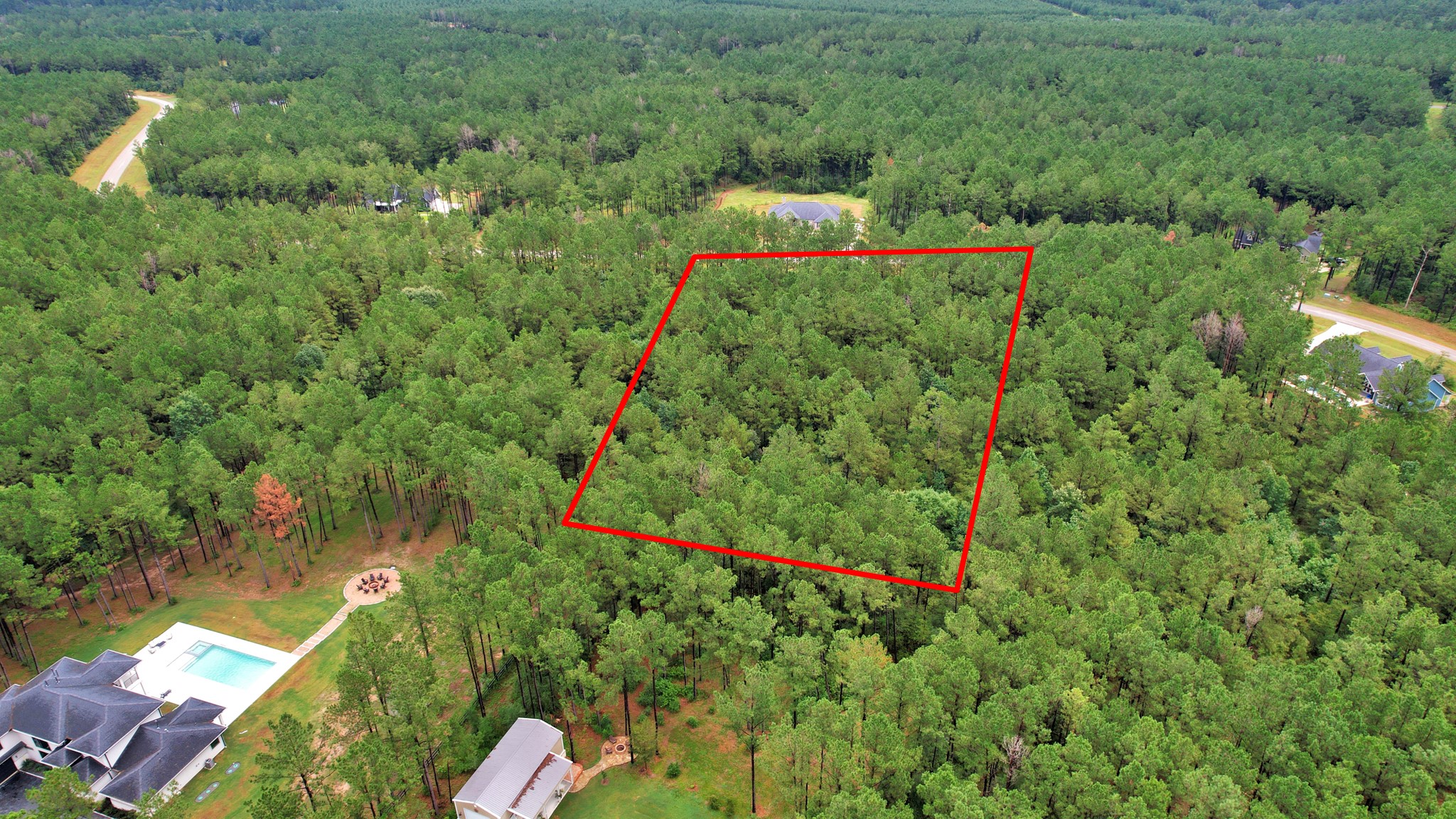 10940 Ruger Road Willis, TX 77378 - Photo 21 of 30 a view of a yard with a tree