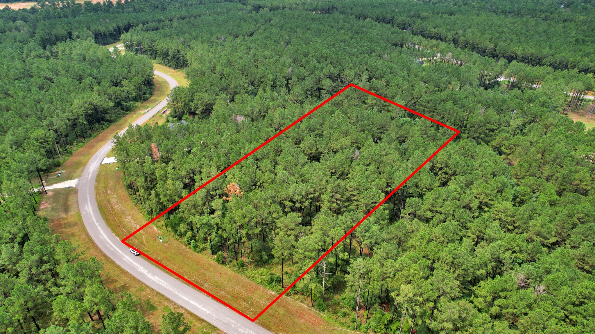 10940 Ruger Road Willis, TX 77378 - Photo 22 of 30 a view of a yard with a plant