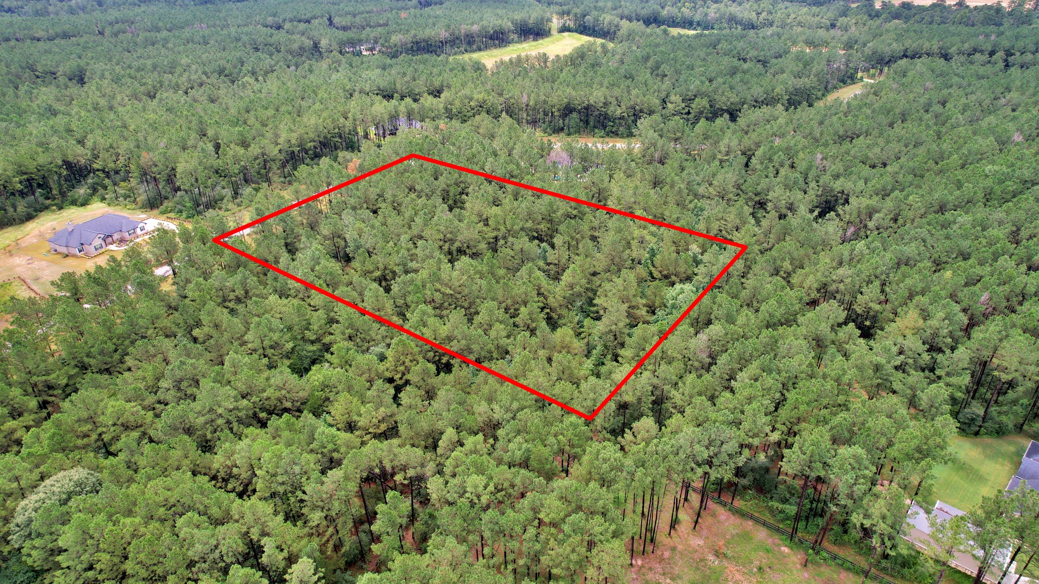 10940 Ruger Road Willis, TX 77378 - Photo 24 of 30 a view of a yard with a lush green forest