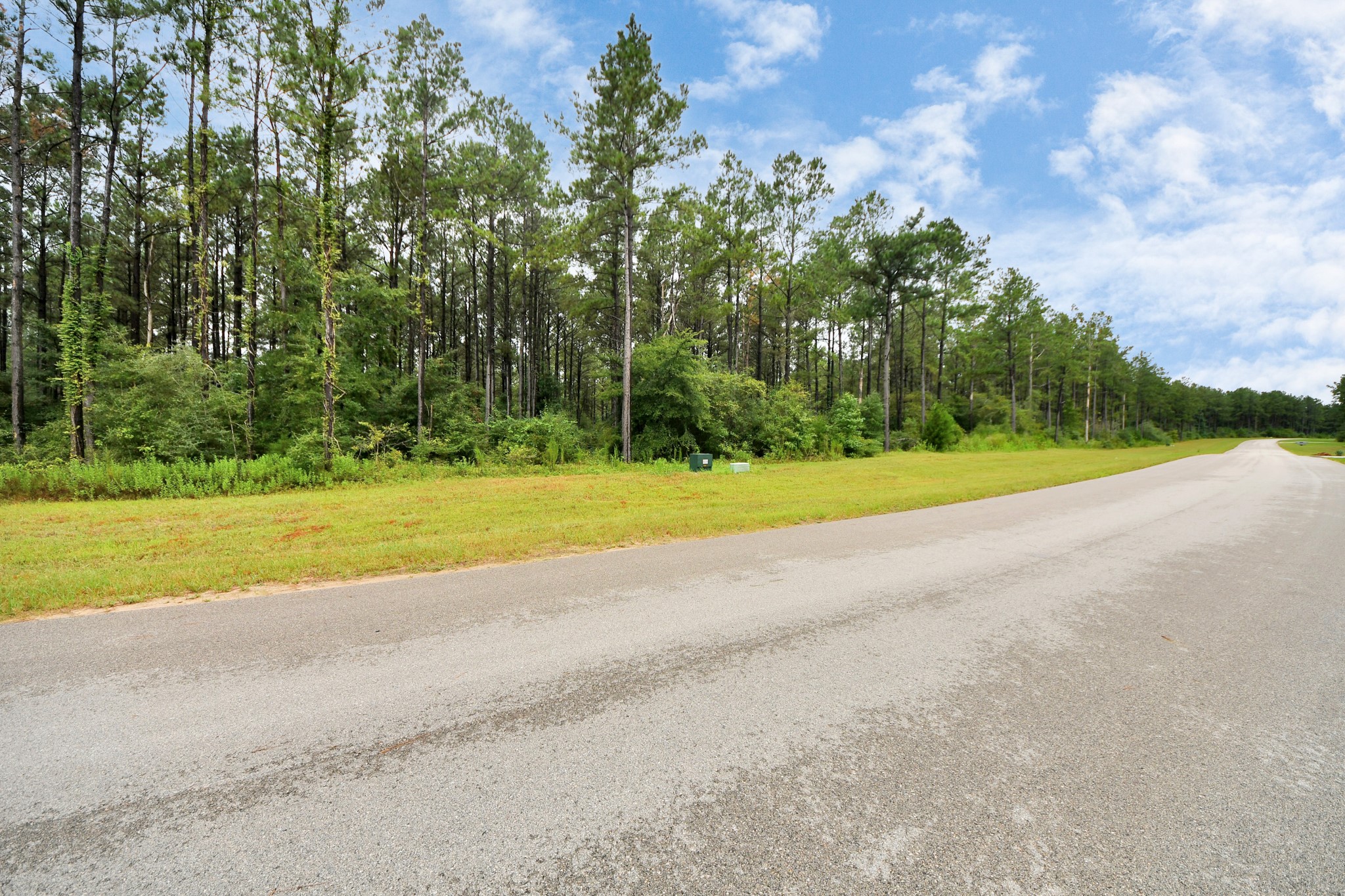 10940 Ruger Road Willis, TX 77378 - Photo 6 of 30 a view of a volley ball court