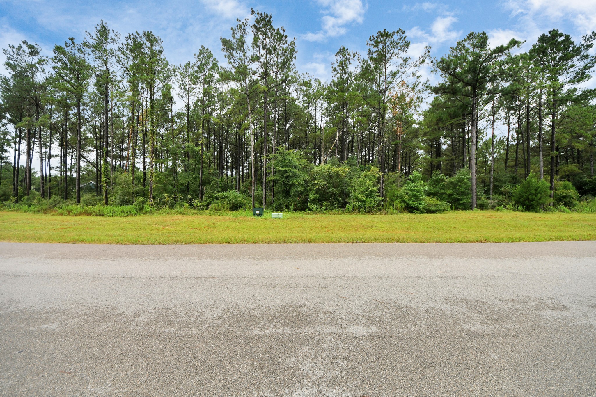 10940 Ruger Road Willis, TX 77378 - Photo 7 of 30 a view of a volley ball court